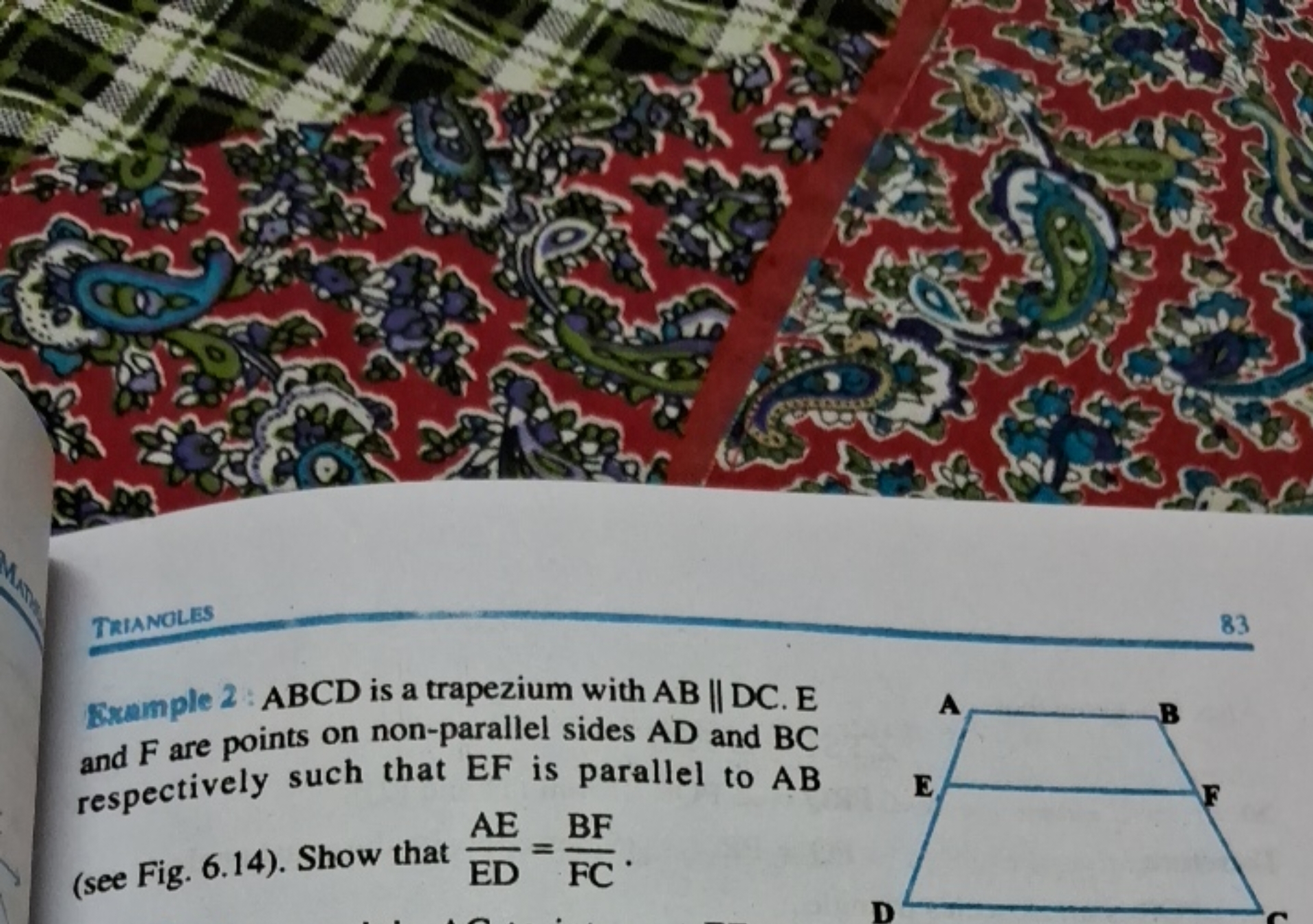 TrianOLES
83
Example 2: ABCD is a trapezium with AB∥DC. E and F are po