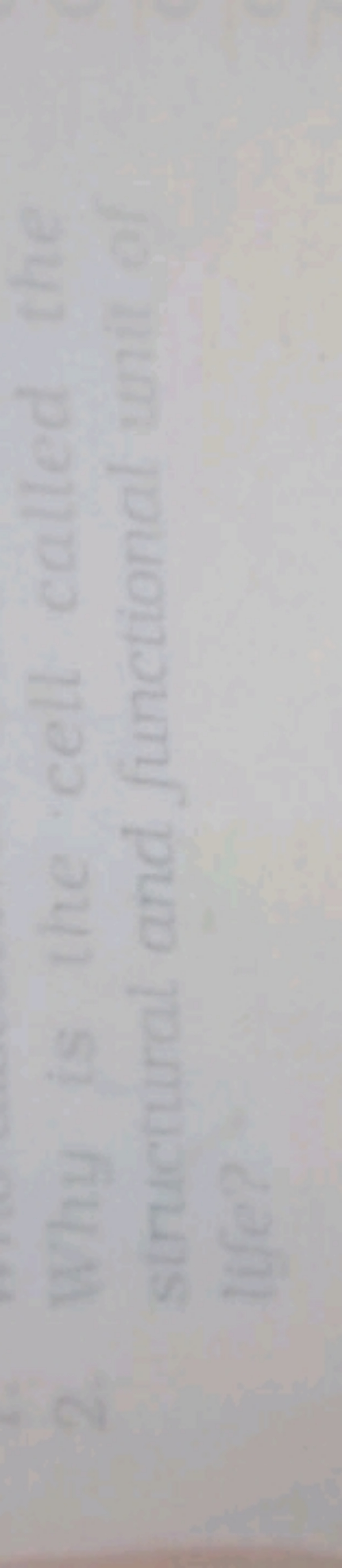 2. Why is the cell called the life?