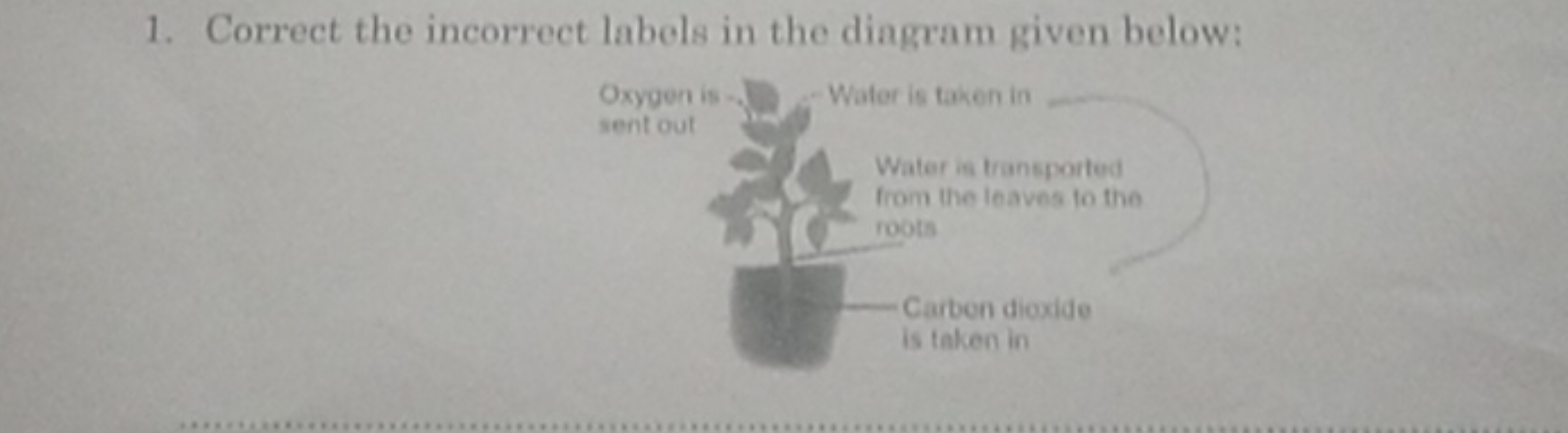 1. Correct the incorrect labels in the diagram given below:

Oxygon is