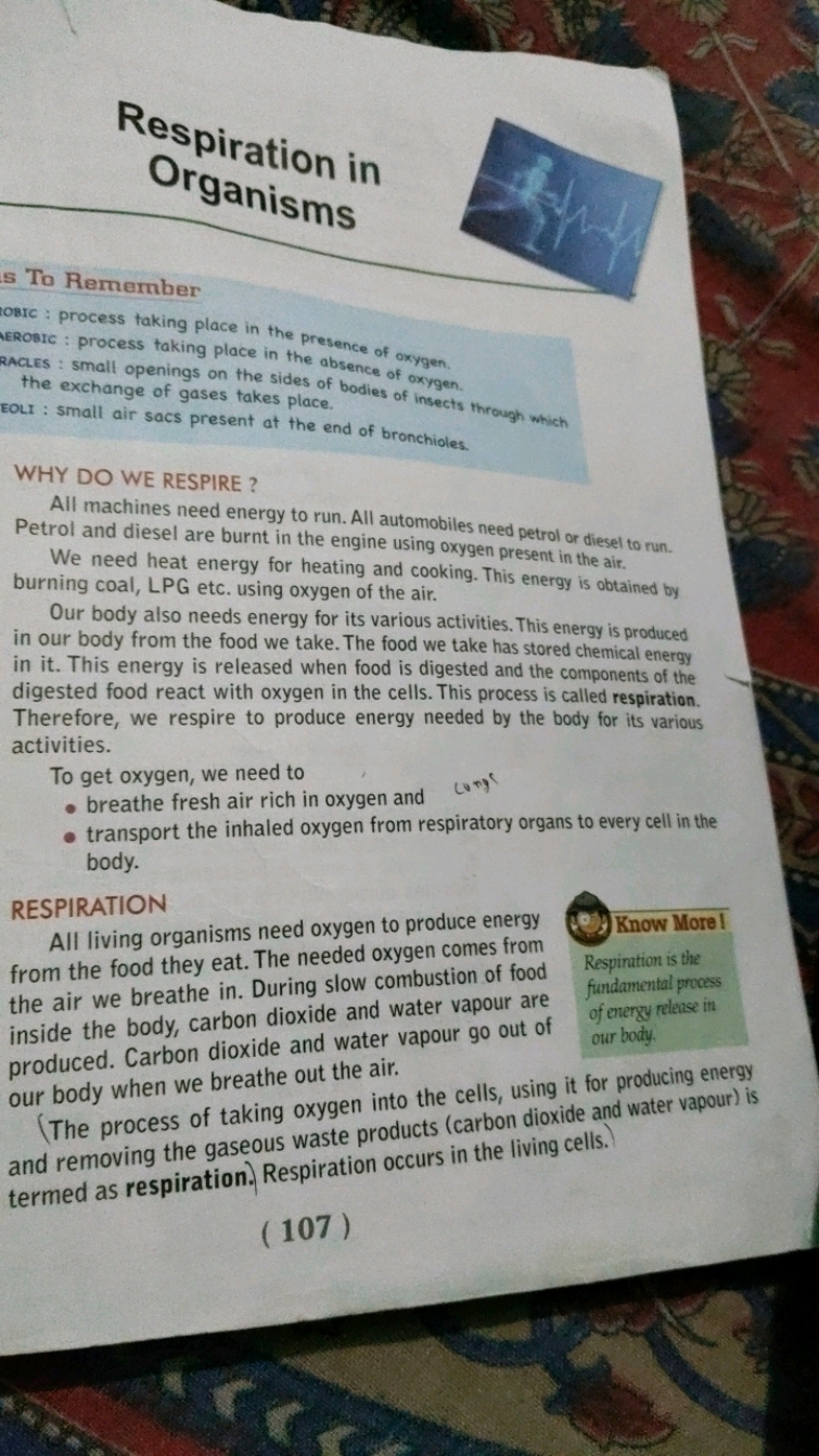 Respiration in Organisms

To Rernember
IOric : process taking place in