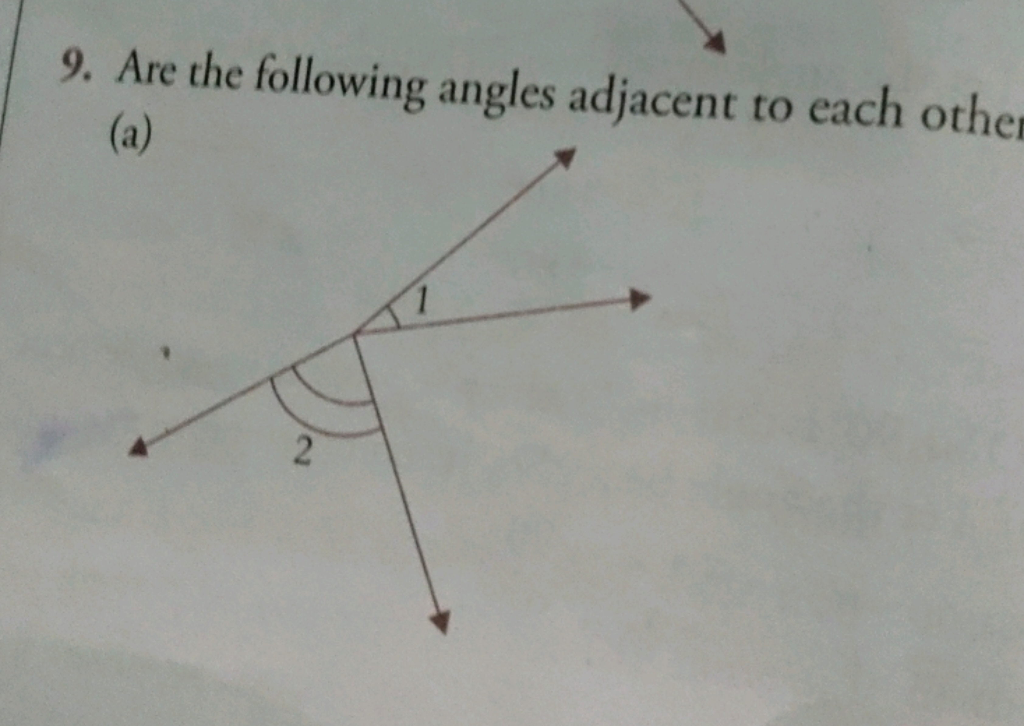 9. Are the following angles adjacent to each other
(a)
2
1