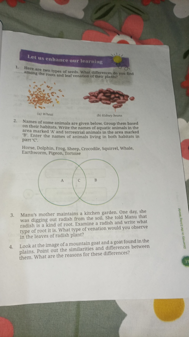 Let us enhance our learning
1. Here are two types of seeds. What diffe