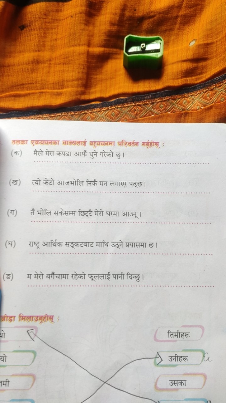 तलका एकवचनका वाक्यलाई बहुवचनमा परिवर्तन गर्नुहोस् :
(क) मैले मेरा कपडा