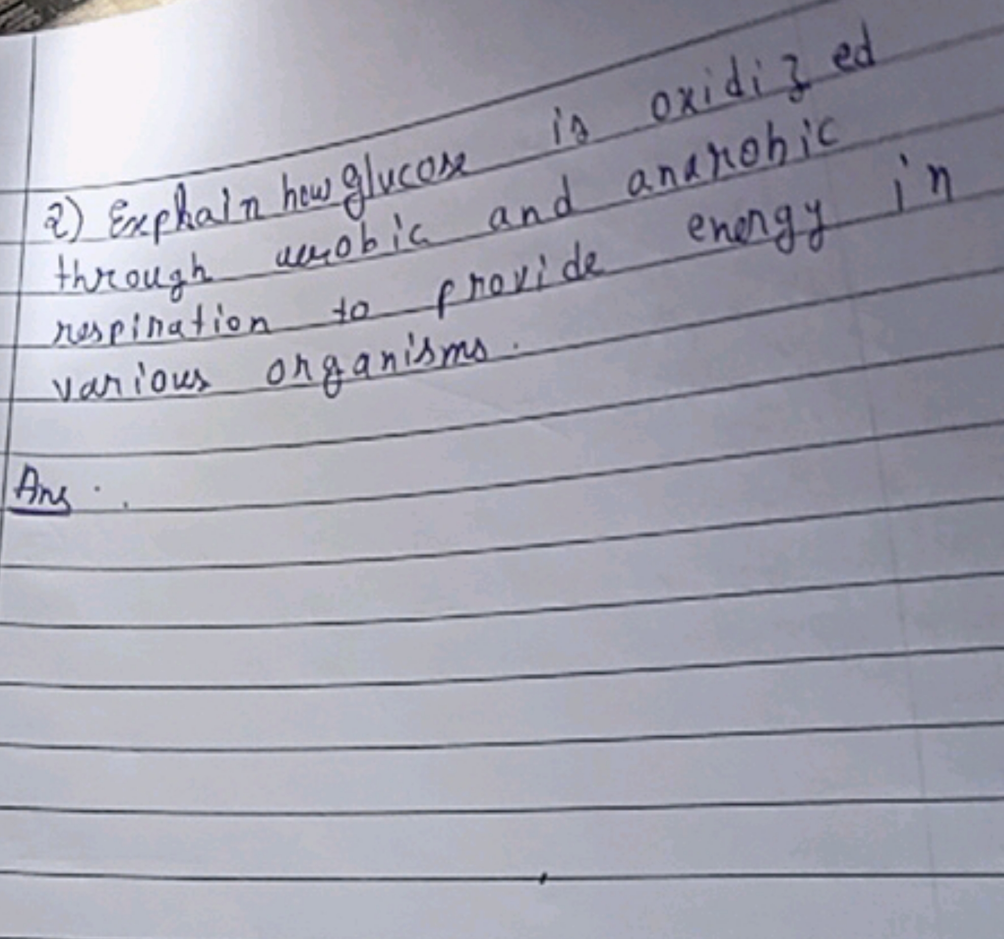 2) Explain how glucose and oxidize ed through werobic and androhic res