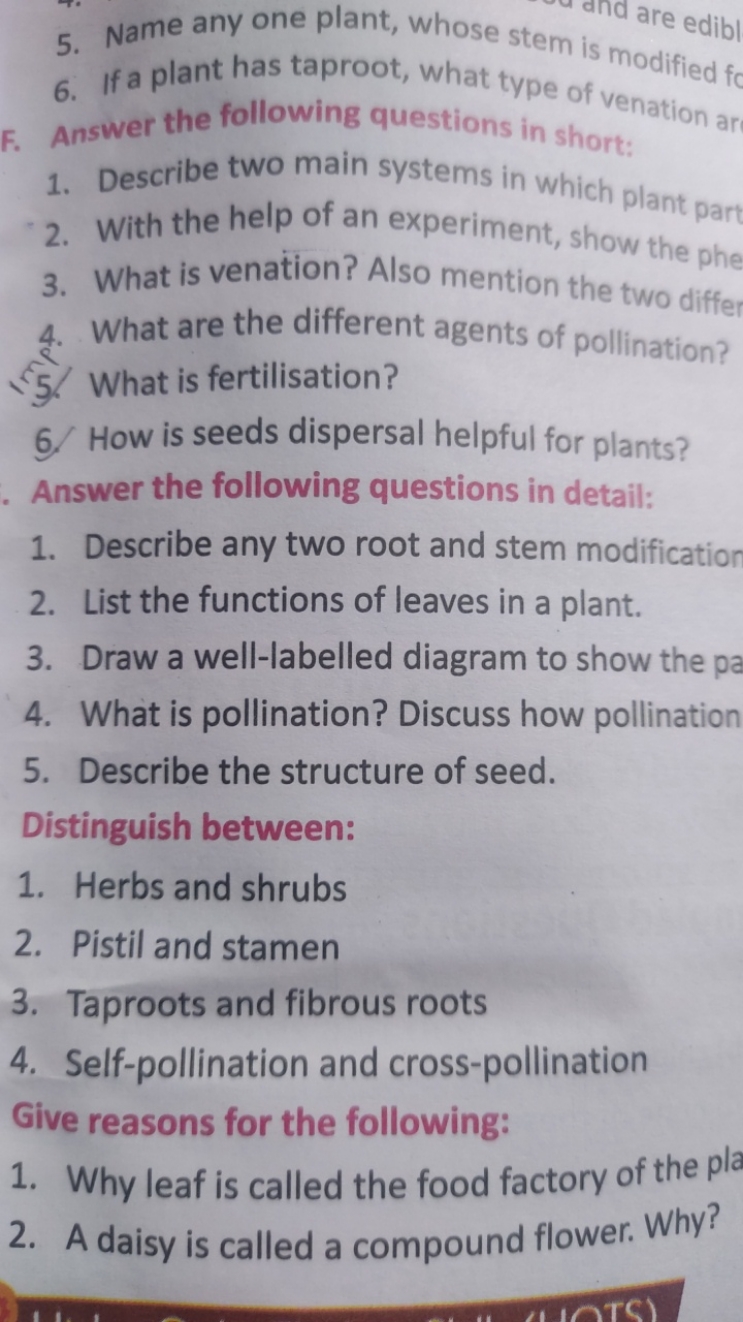 5. Name any one plant, whose stem is modifie
6. If a plant has taproot