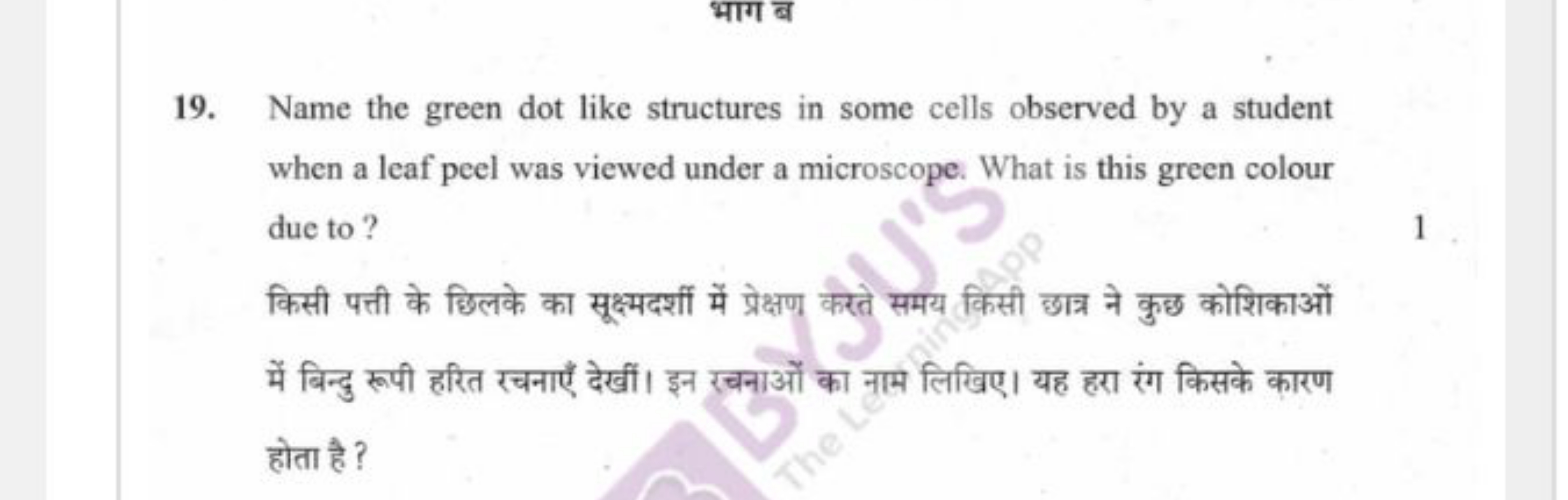 भाग ब
19. Name the green dot like structures in some cells observed by