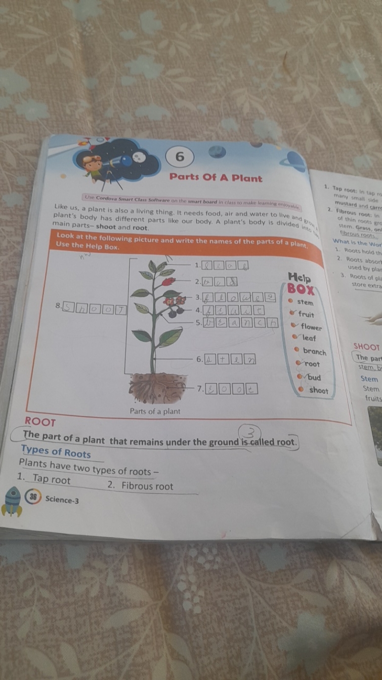 6
Parts of A Plant

Use Cordowa Smart Class Soffware on the smart boar