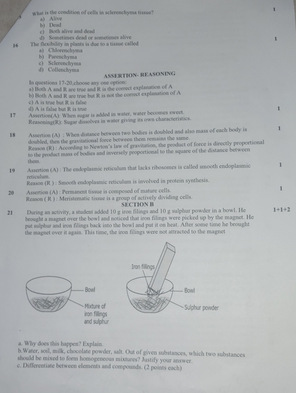 What is the condition of cells in sclerenchyma tissue?
a) Alive
b) Dea