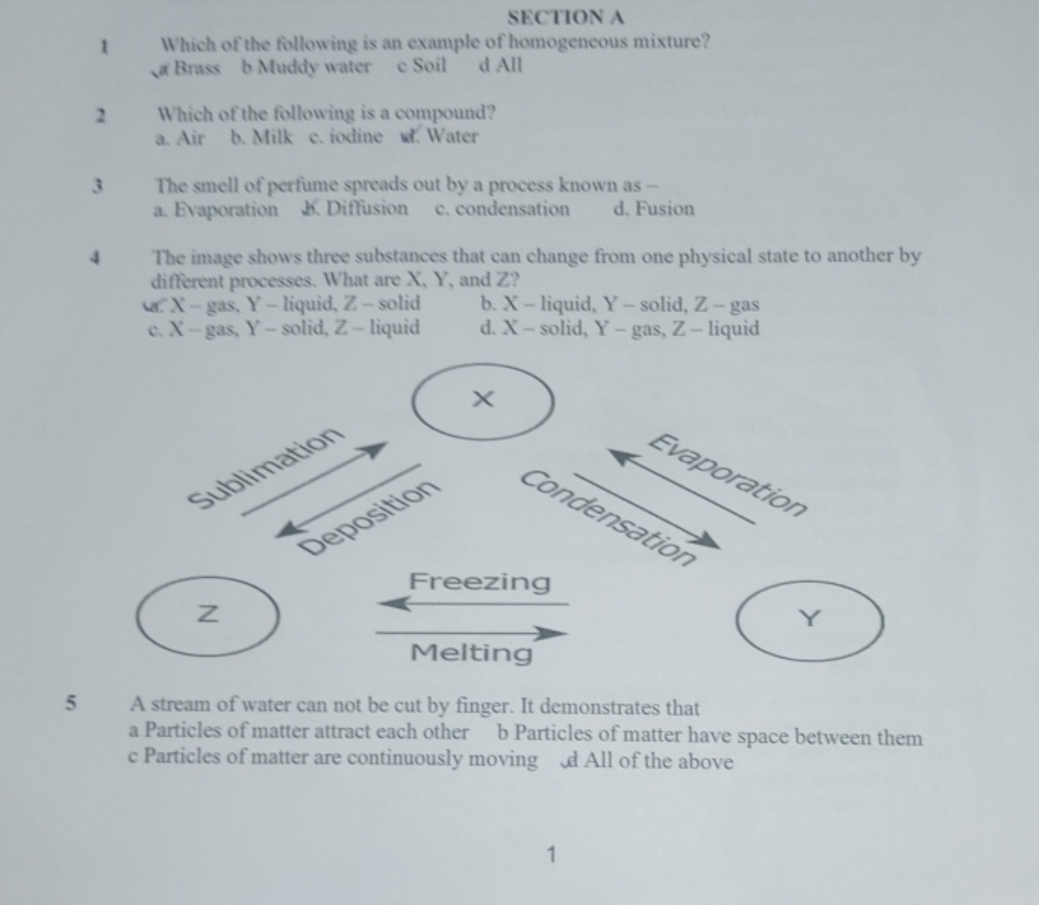 SECTION A
1 Which of the following is an example of homogencous mixtur