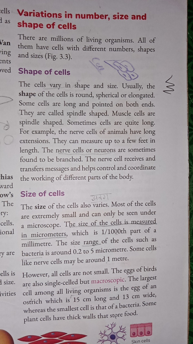 ells as

Van ing  ved
hias ward ow's The ry: cells. ional
y are
ells i