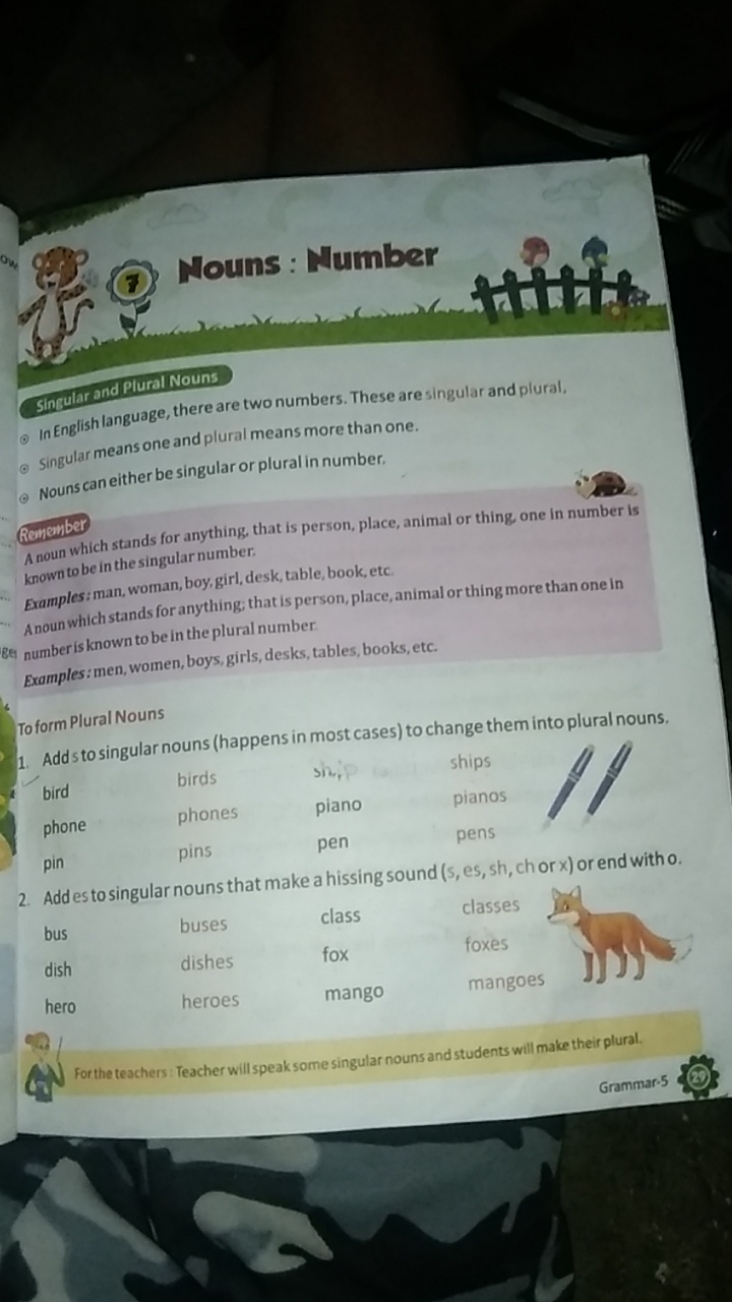 Singular and plural Nouns
( In English language, there are two numbers