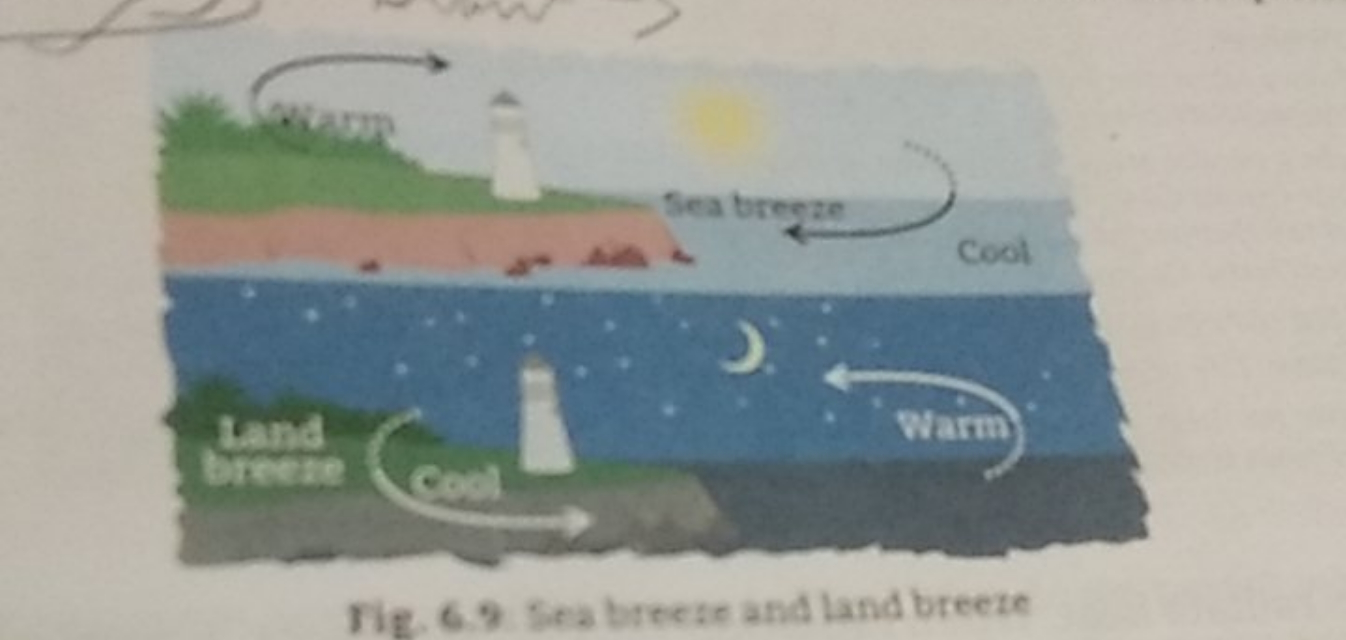 Wann
Sea breeze
Cool
Land
breeze
Cool
Warm
Fig. 6.9. Sea breeze and la