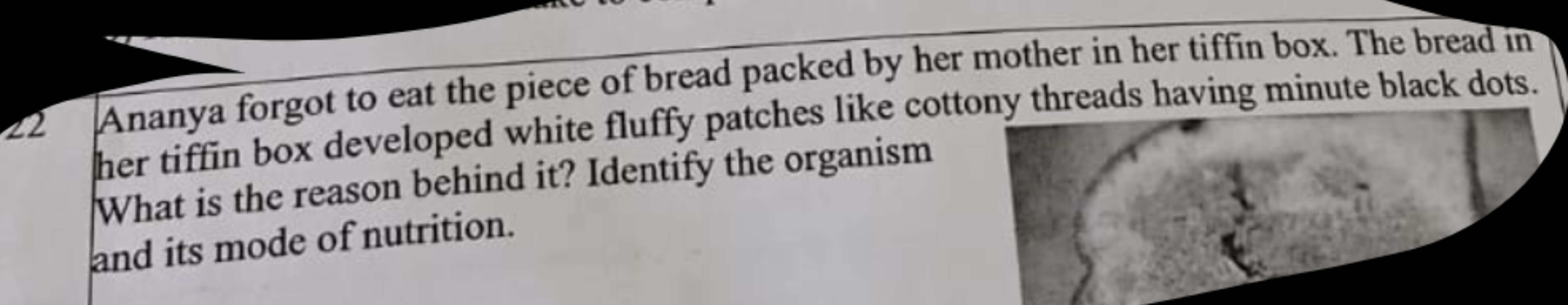 22 Ananya forgot to eat the piece of bread packed by her mother in her