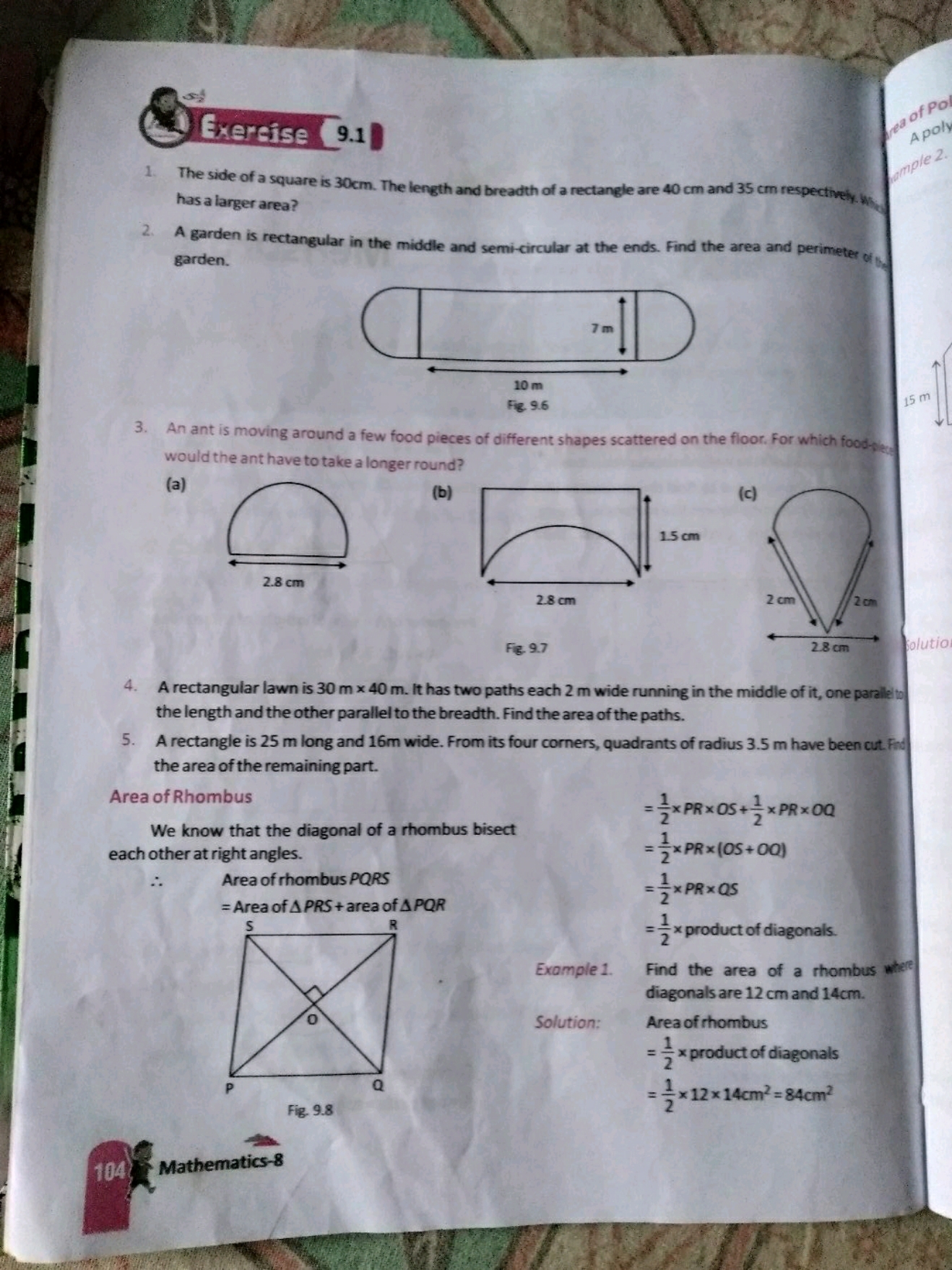 Exerise 9.1
1. The side of a square is 30 cm . The length and breadth 