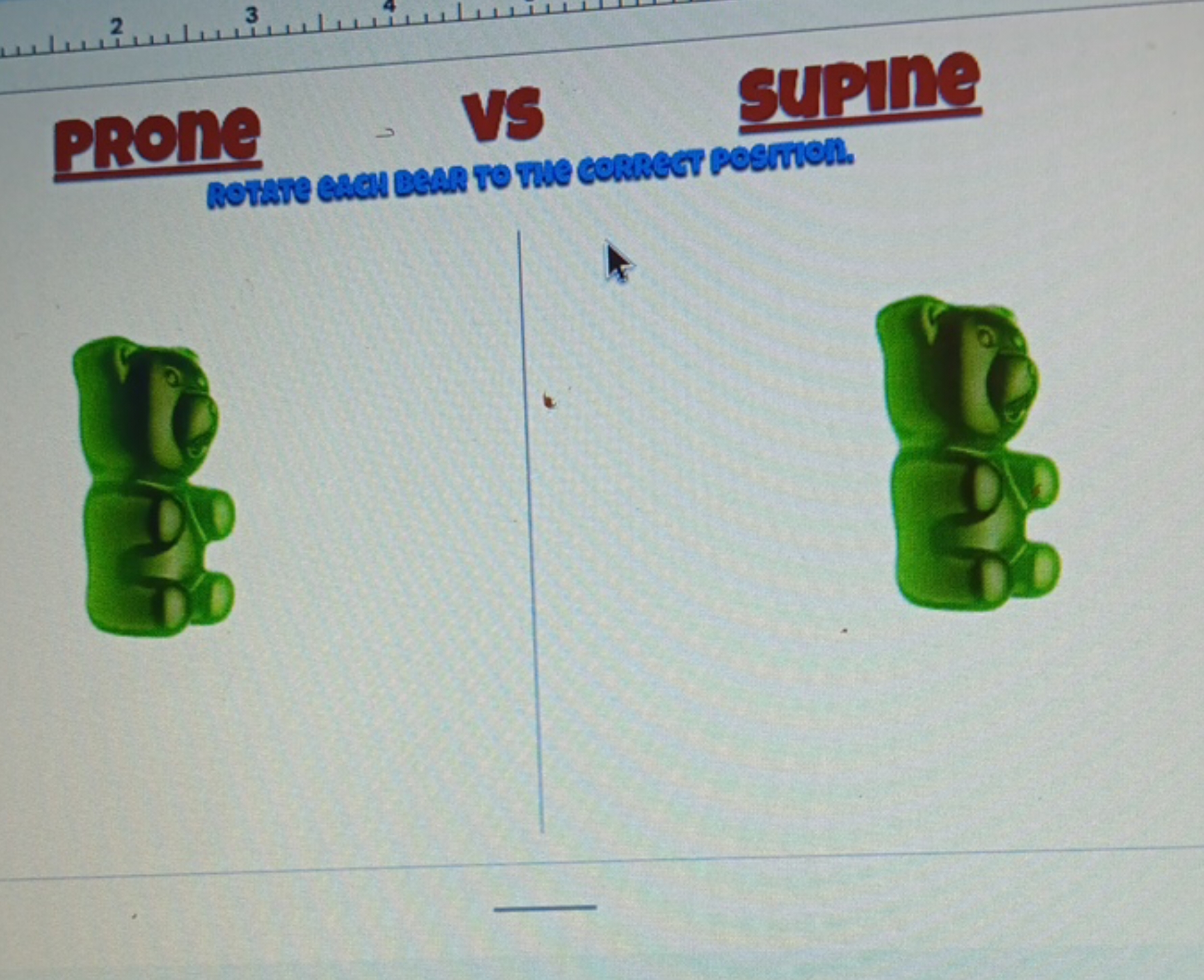 23
PROne
VS
Supine
ROTATE CACH BEAR TO THE CORRECT POSITION.