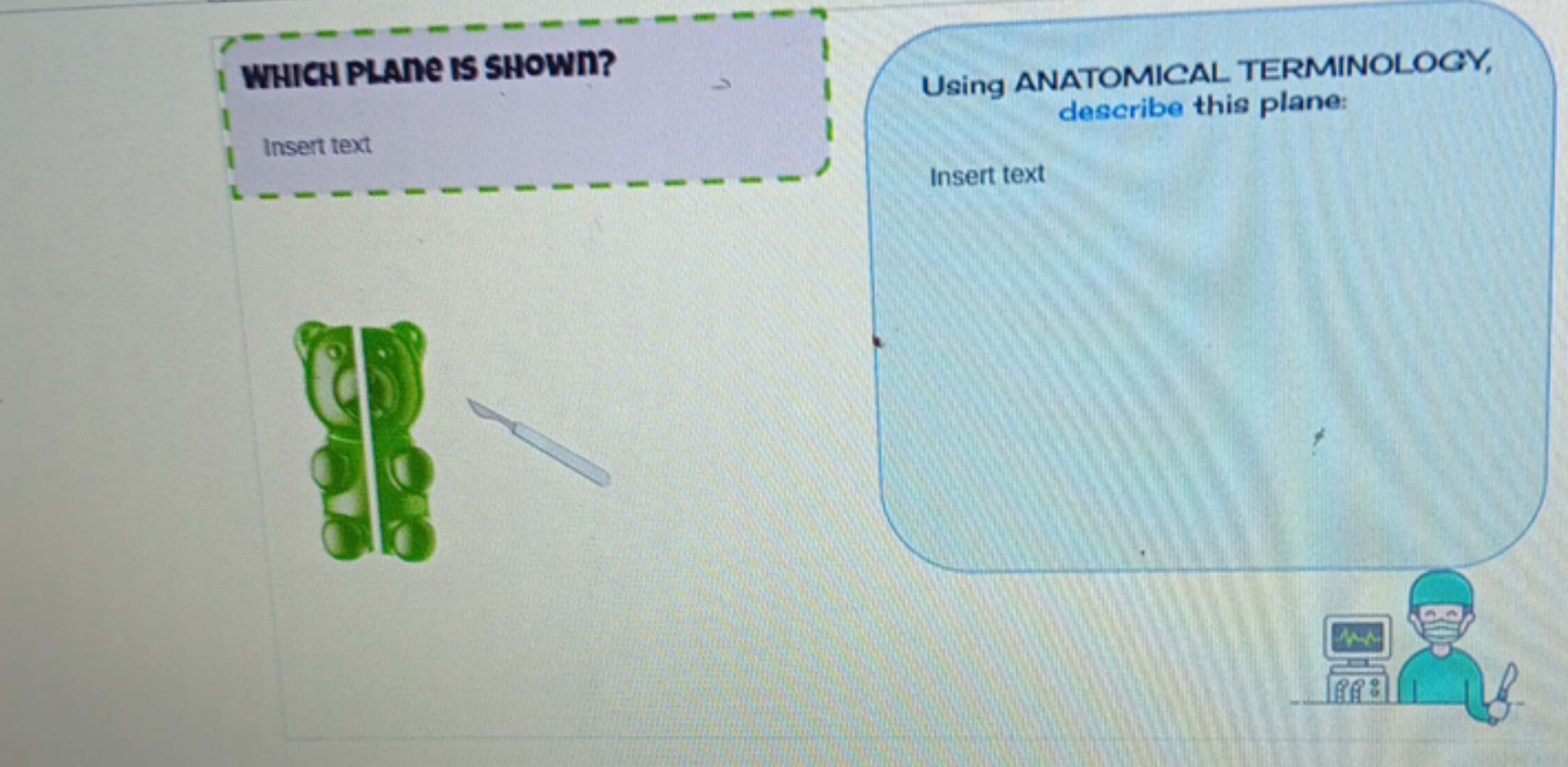 WHICH PLANE IS SHOWN?
Insert text
Using ANATOMICAL TERMINOLOGY,
descri