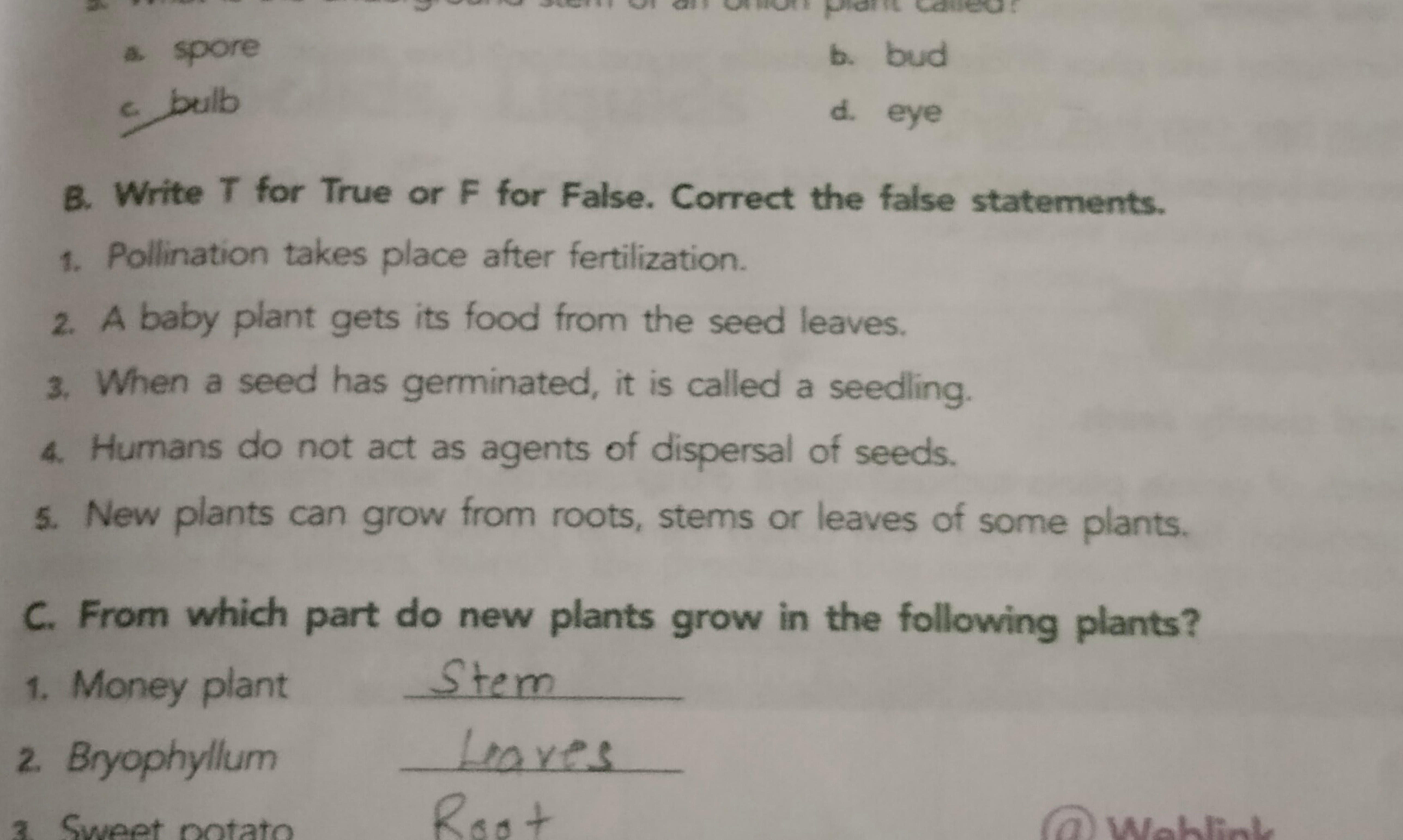 a. spore
b. bud
c. bulb
d. eye
B. Write T for True or F for False. Cor