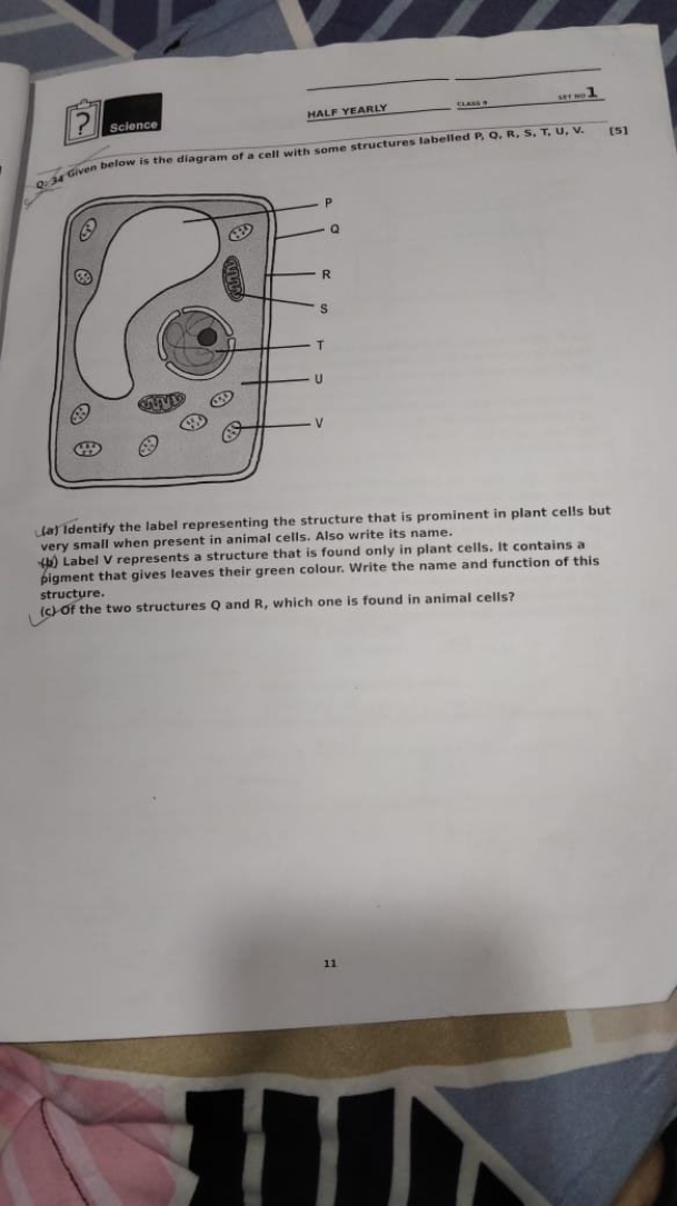 Science
HALF YEARLY
set + 1

Given below is the diagram of a cell with