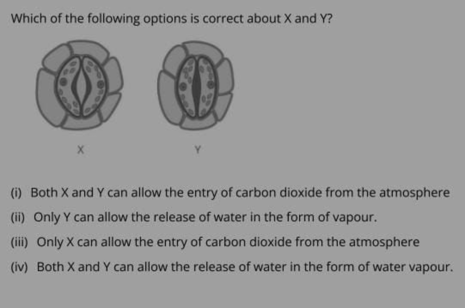 Which of the following options is correct about X and Y ?

X Y
(i) Bot