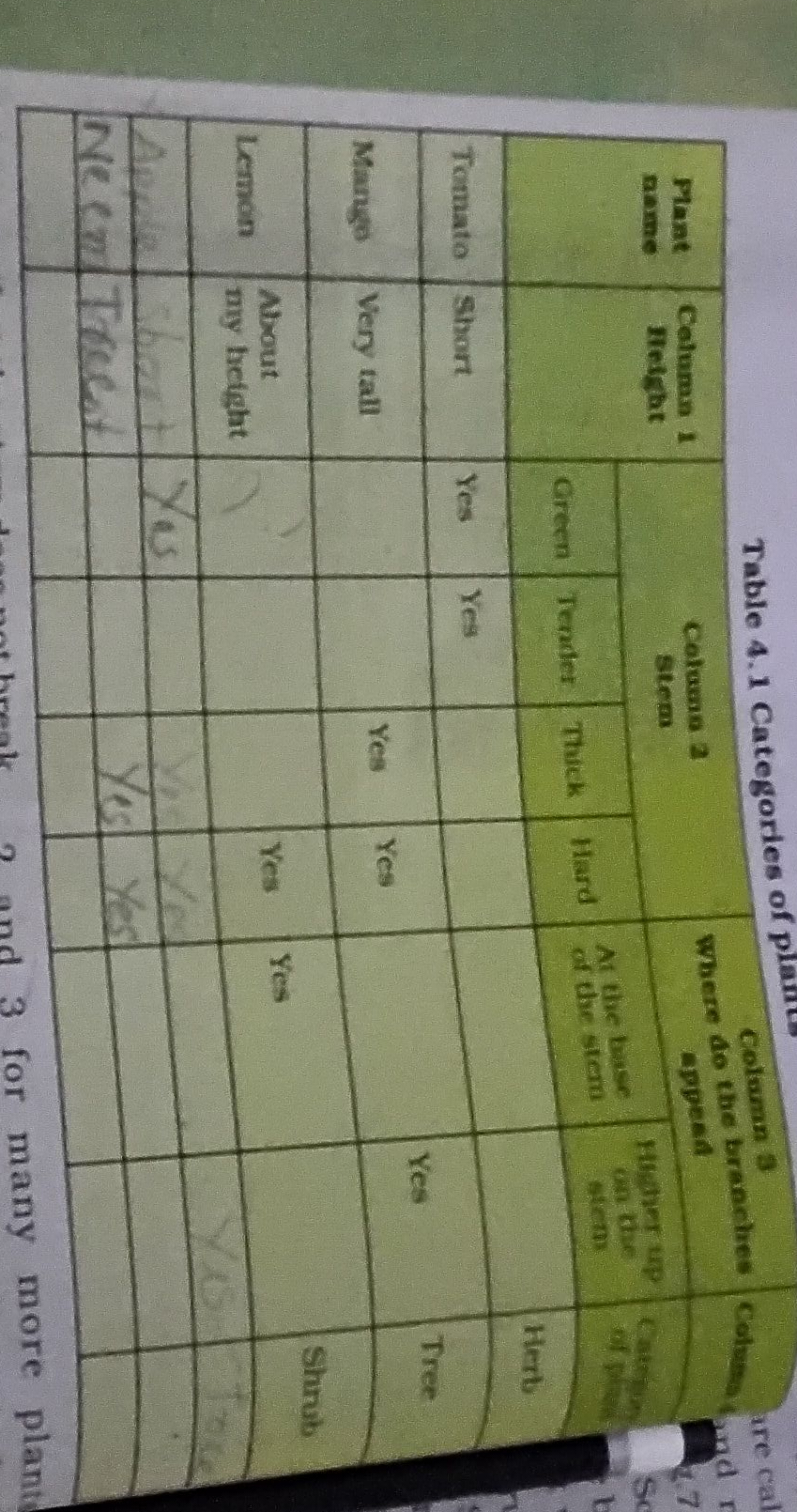 Plant Column
name
Height
Table 4.1 Categories of plan
Coloma 2
Stem
Co