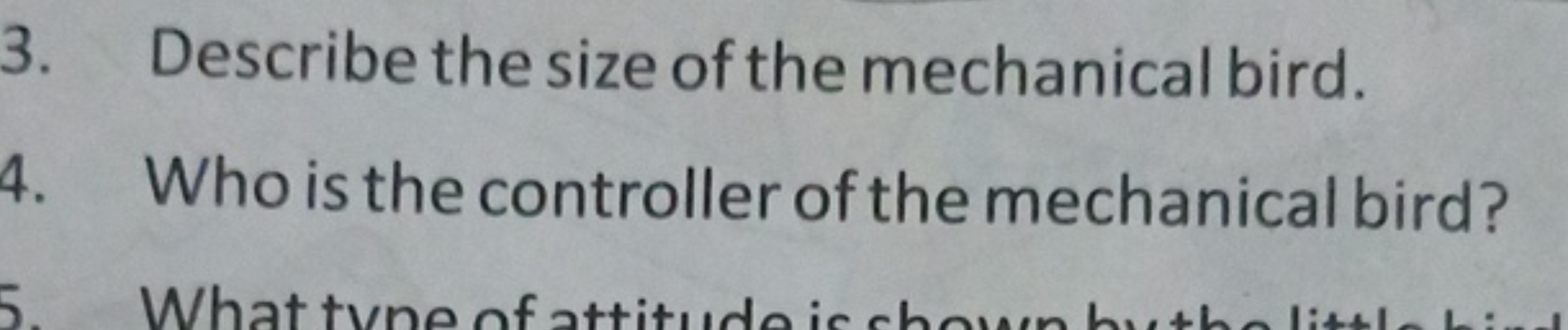 3. Describe the size of the mechanical bird.
4. Who is the controller 