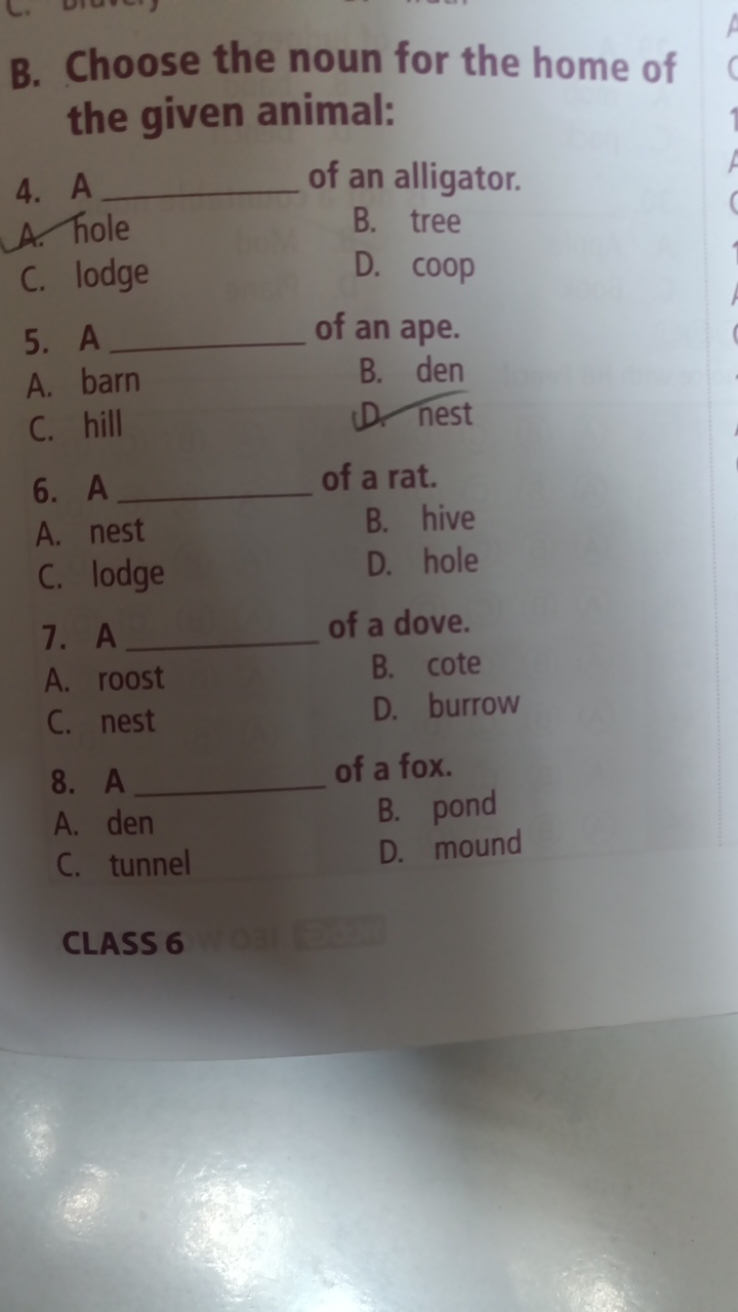 B. Choose the noun for the home of the given animal:
4. A  of an allig