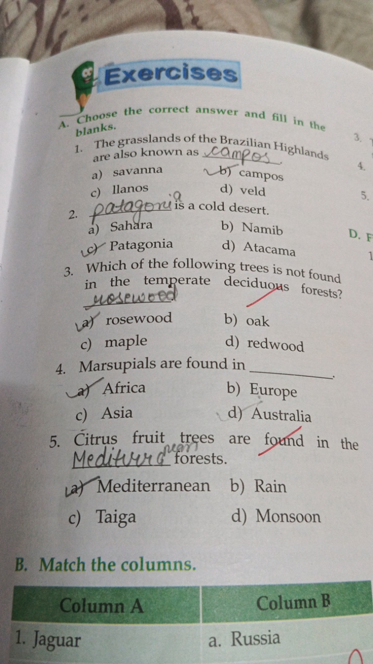 A. Choose the correct answer and fill in the blanks.
1. The grasslands