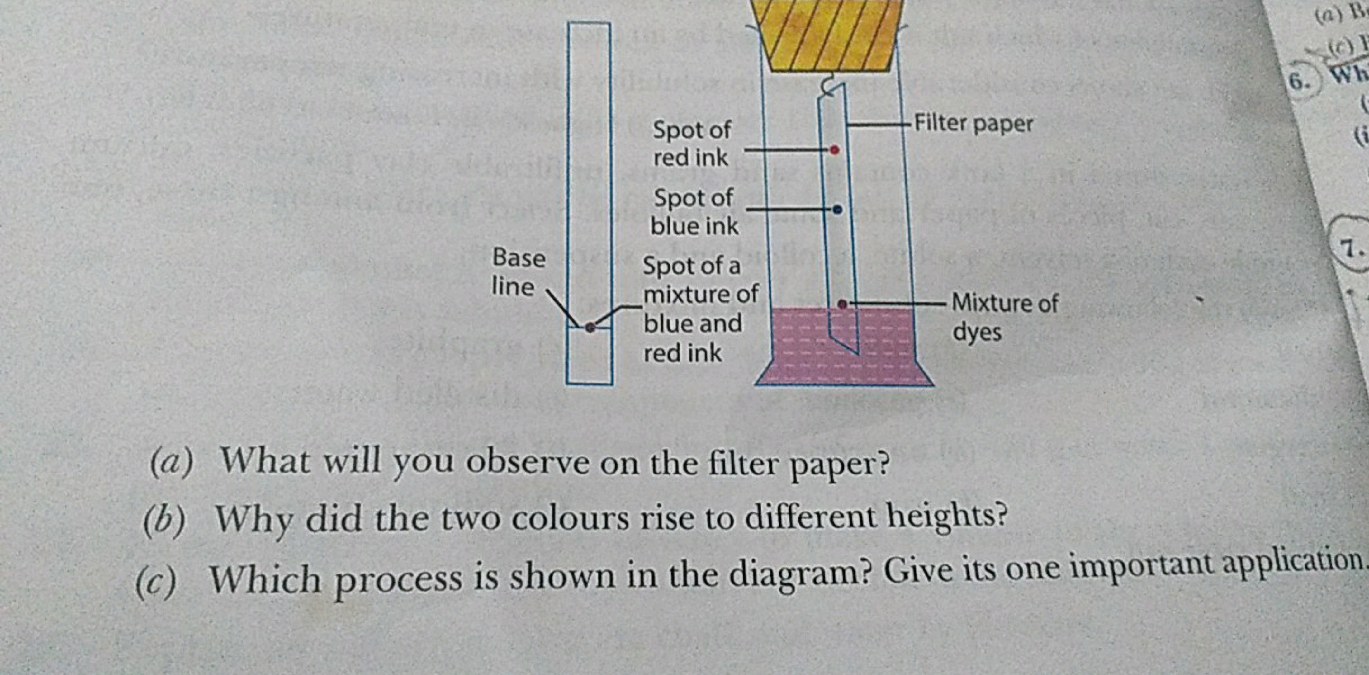 (a) What will you observe on the filter paper?
(b) Why did the two col