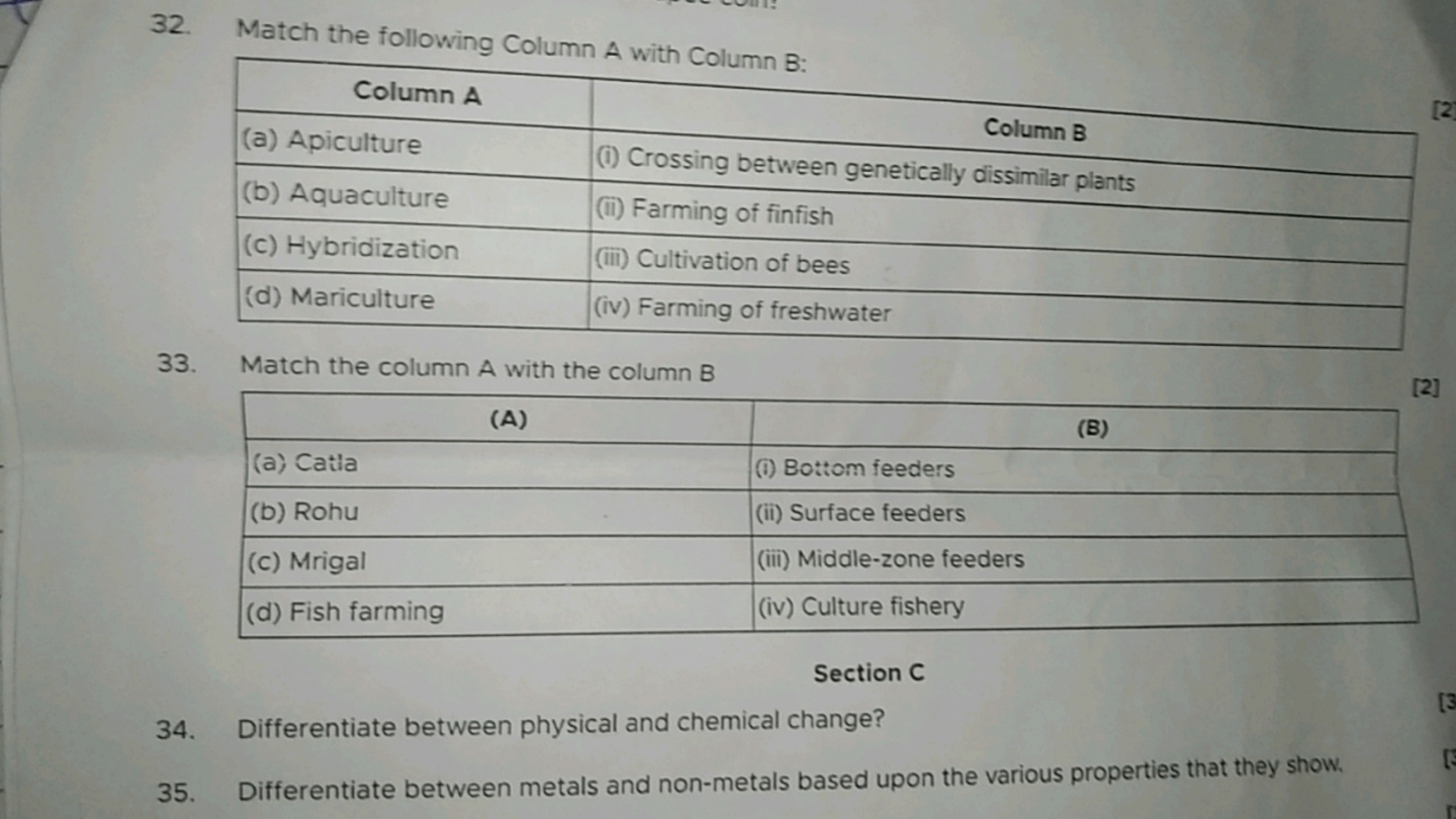 32. Match the following Column A with Column B :
\begin{tabular} { | l