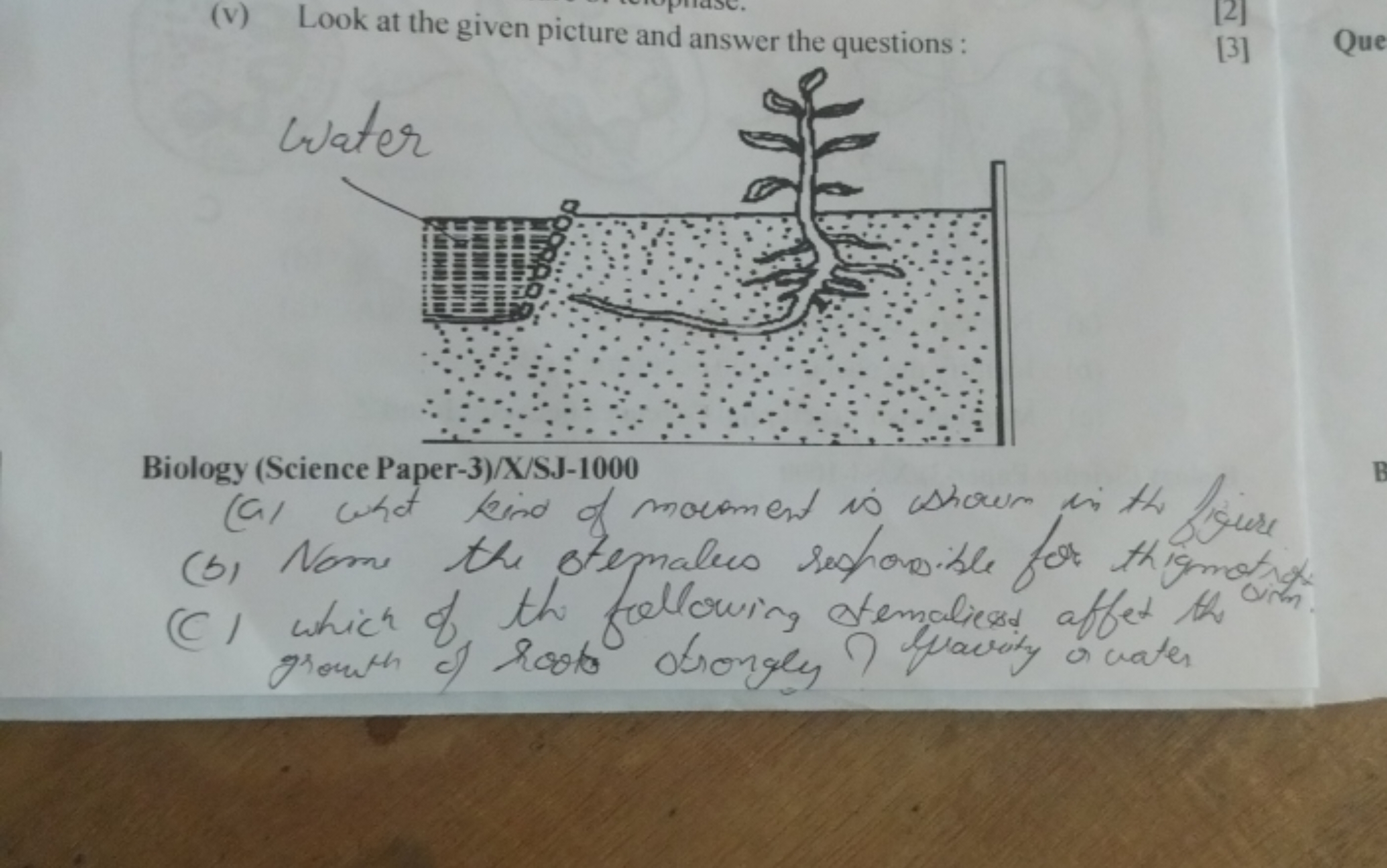 (v) Look at the given picture and answer the questions :
[3]
Que

Biol