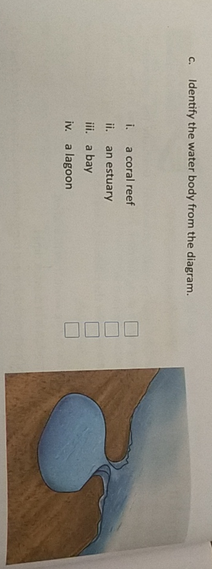 c. Identify the water body from the diagram.
i. a coral reef □
ii. an 