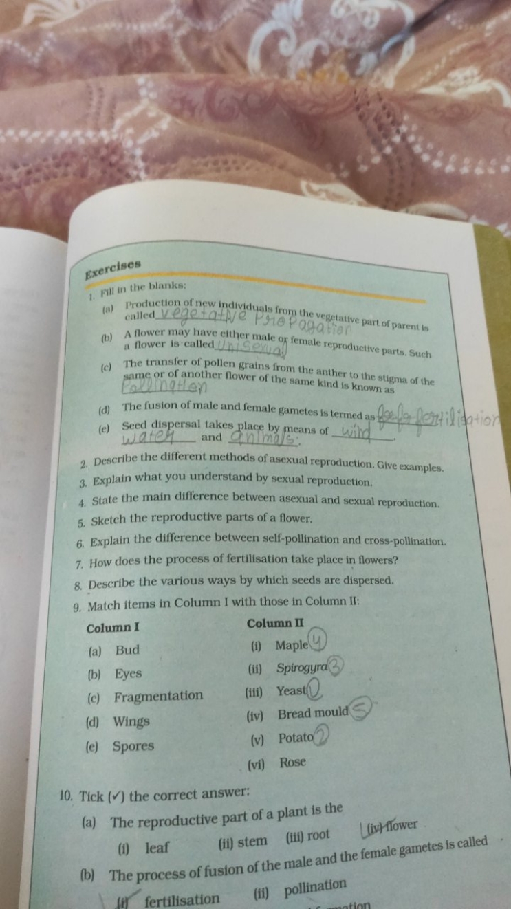 1. Fill in the blanks:
(a) Production of new individuals from the vege