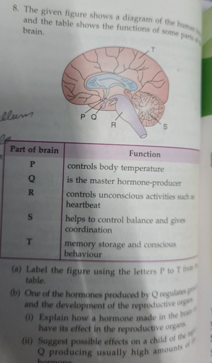 8. The given figure shows a diagram of the humant, and the table shows