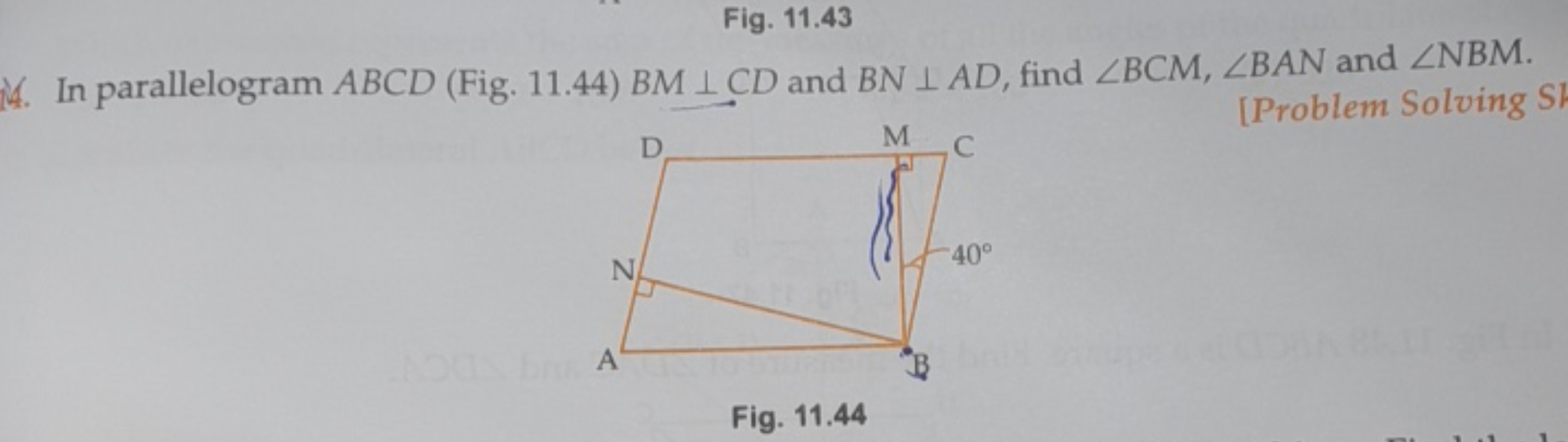 Fig. 11.43
14. In parallelogram ABCD (Fig. 11.44) BM⊥CD and BN⊥AD, fin