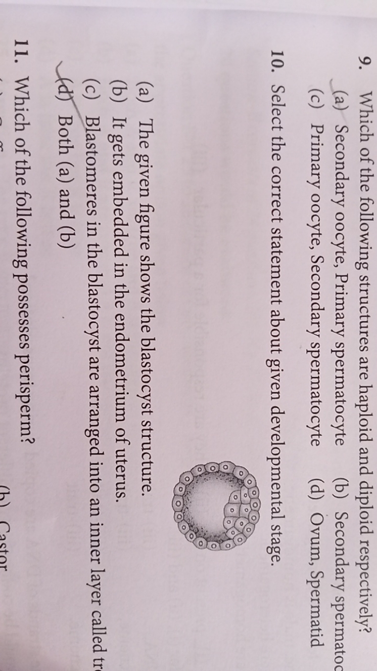 9. Which of the following structures are haploid and diploid respectiv