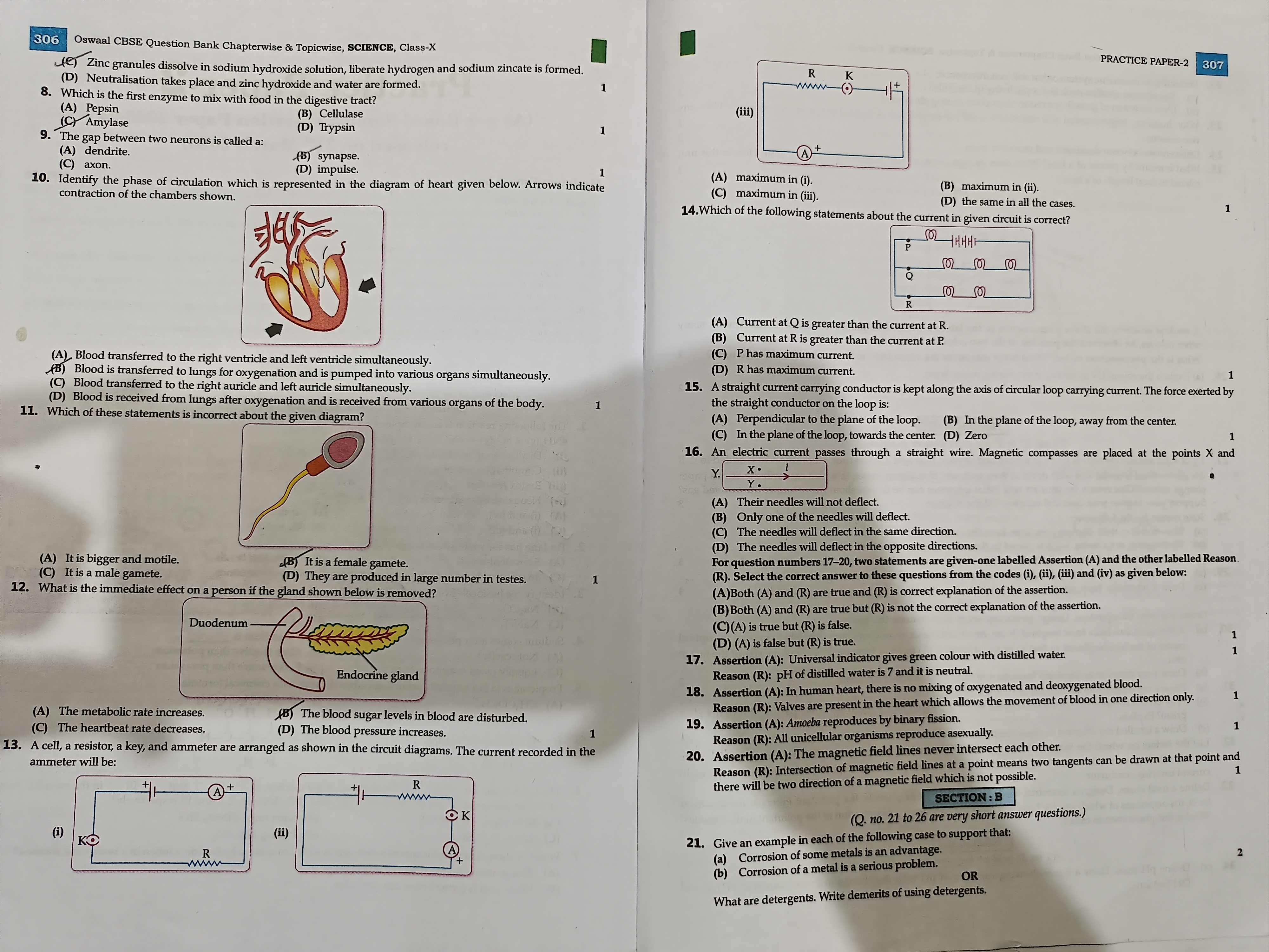 1
(iii)
1
306 Oswaal CBSE Question Bank Chapterwise & Topicwise, SCIEN