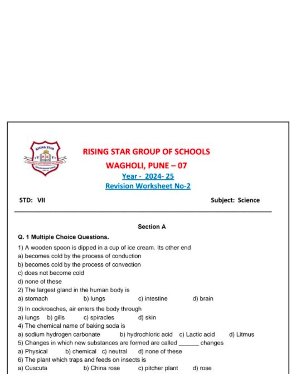 STD: VII
RISING STAR GROUP OF SCHOOLS
WAGHOLI, PUNE - 07
Year - 2024-2