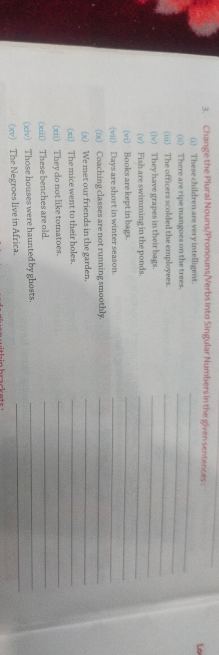 3. Change the Plural Nouns/Pronouns/Verbs into Singular Numbers in the