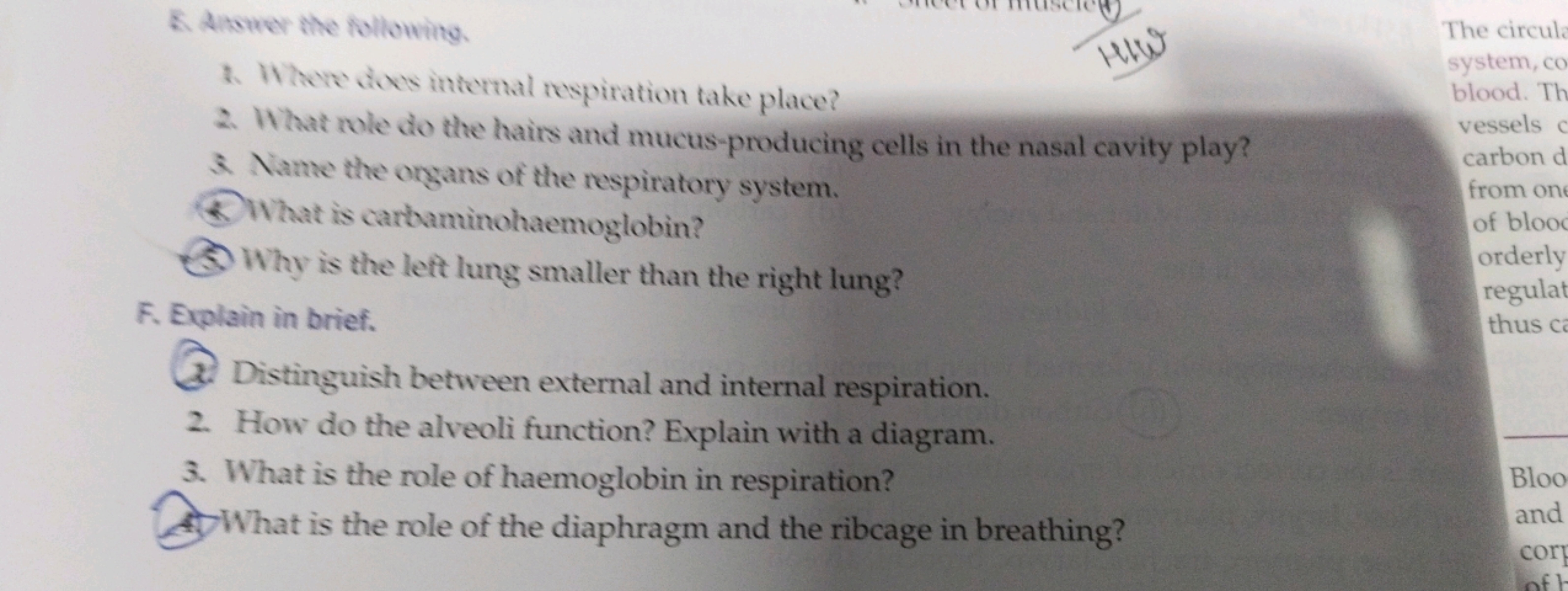 1. Where dives internal respiration take place?
HWS
The circula
system