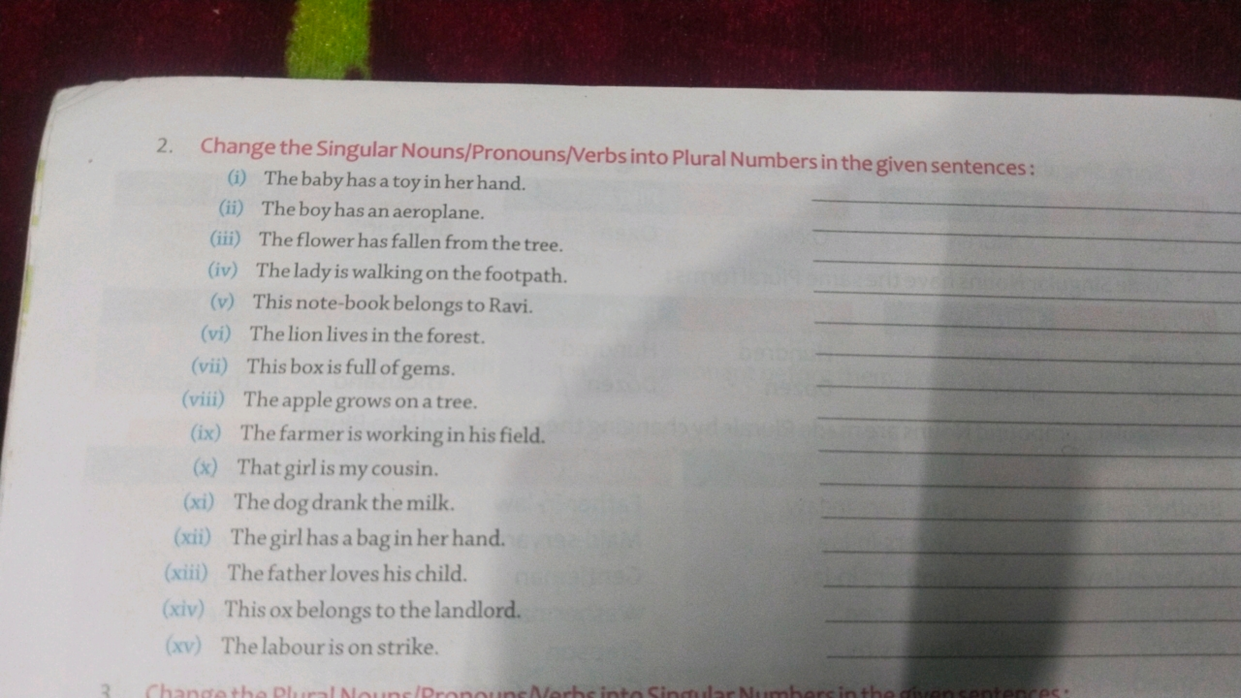 2. Change the Singular Nouns/Pronouns/Verbs into Plural Numbers in the