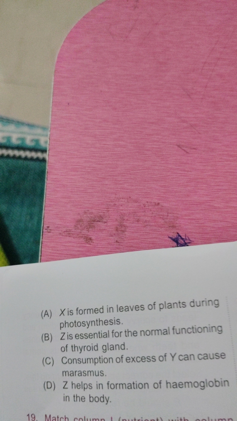 (A) X is formed in leaves of plants during photosynthesis.
(B) Zis ess