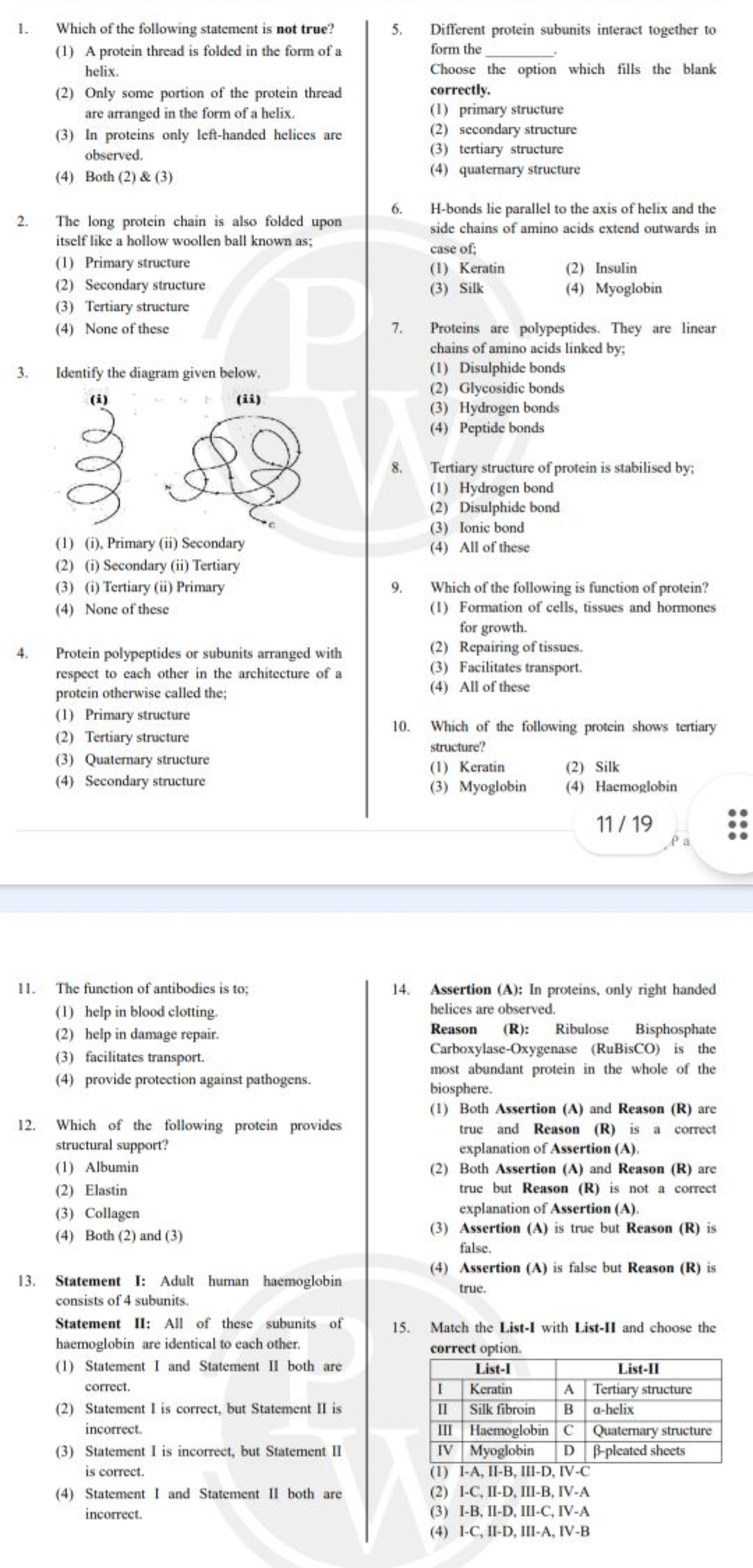 1. Which of the following statement is not true?
(1) A protein thread 