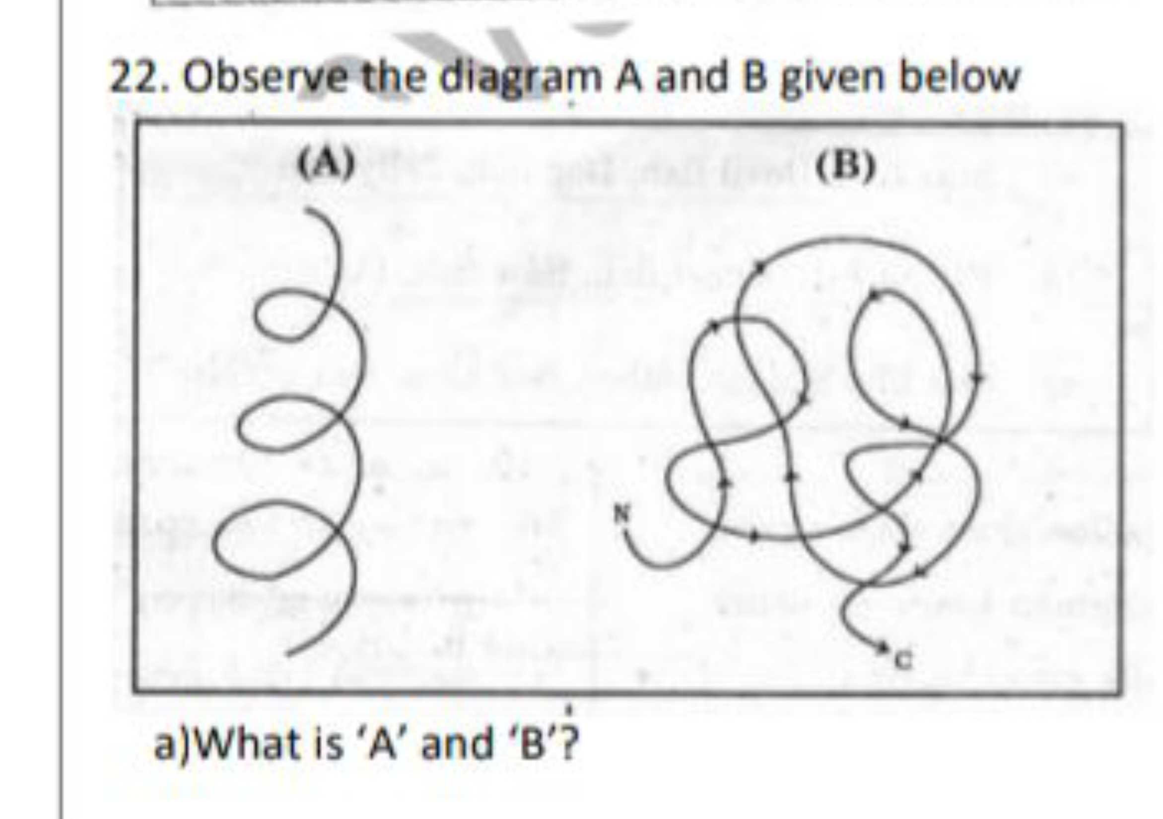 22. Observe the diagram A and B given below
a) What is ' A ' and ' B '