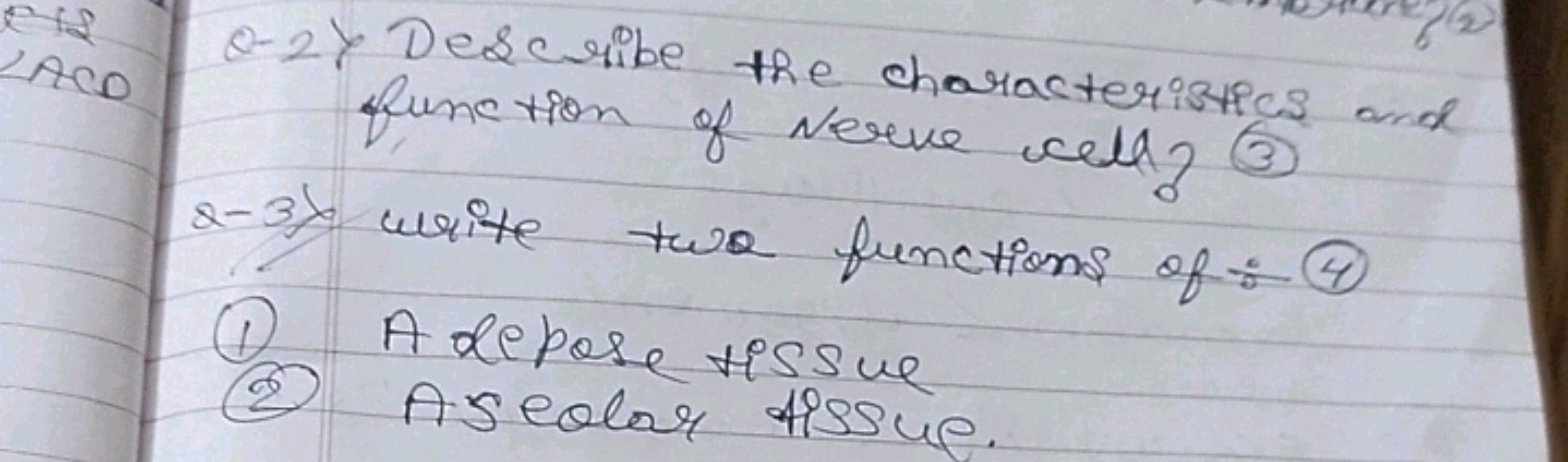 function of verve cell? (3)
a-3k write two functions of:-(4)
(1) A dep