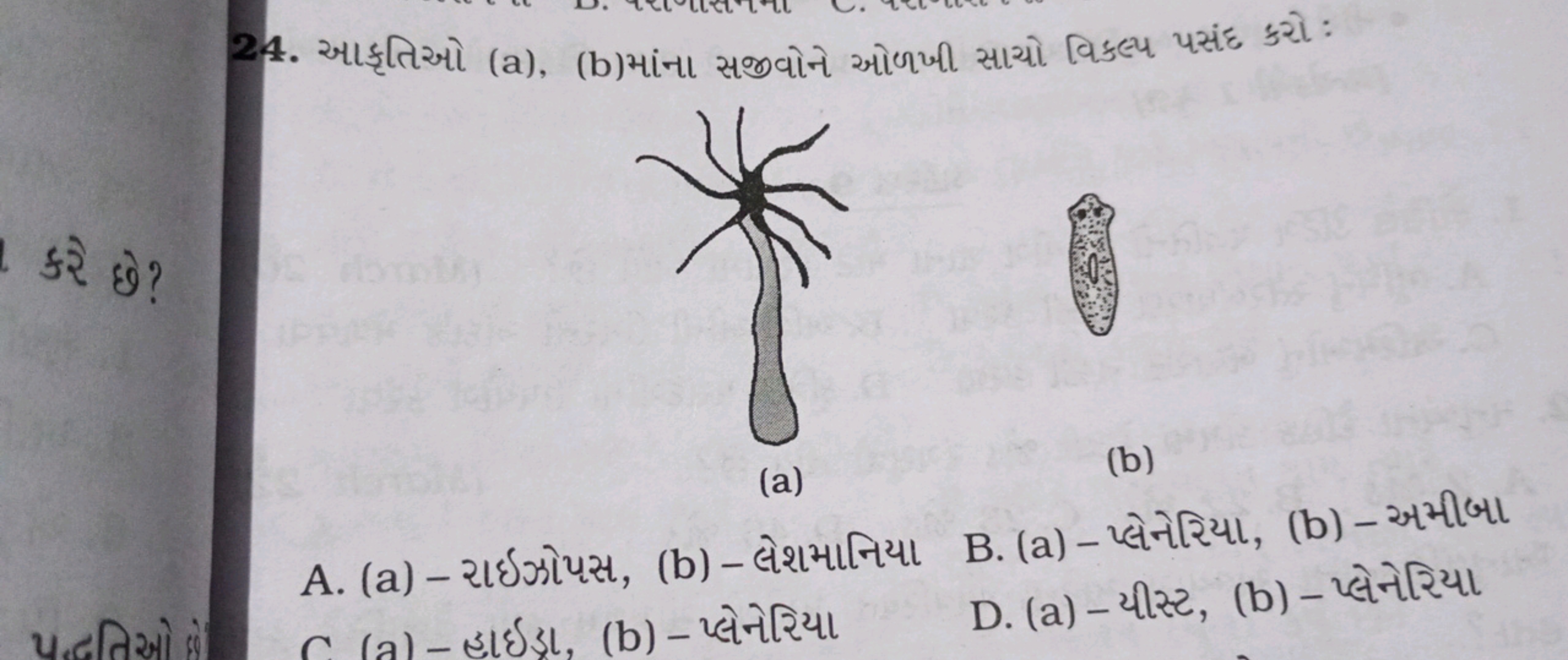 24. આકૃતિઓ (a), (b)માંના સજવોને ઓળખી સાયો વિકલ્પ પસંધ કરો :
કरે छે?
全
