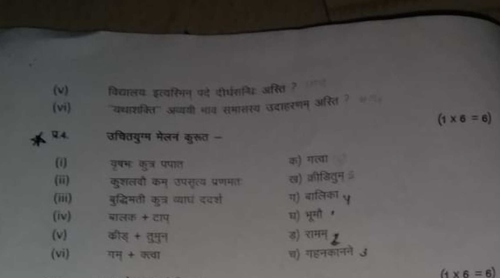 (v) दिवालय इत्वसिभन पद् पीसिसित अस्ति ?
(vi) यचाशक्ति अयवयी भाय समातरय