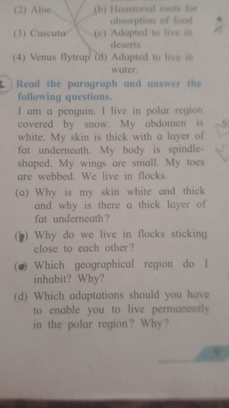 (2) Aloe
(b) Haustorial roots for absorption of licent
(3) Cuscutar
(c