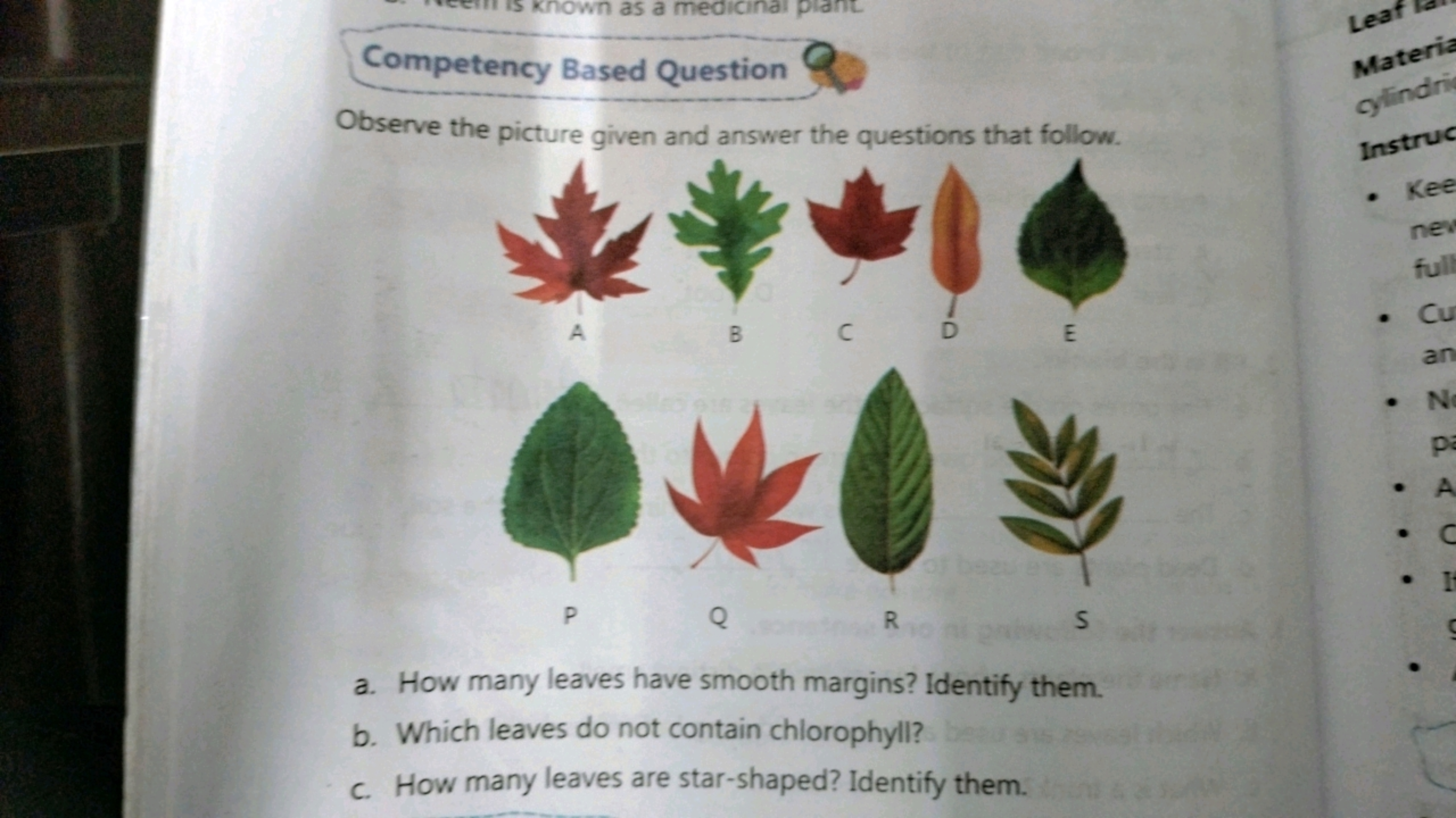 Competency Based Question
Observe the picture given and answer the que