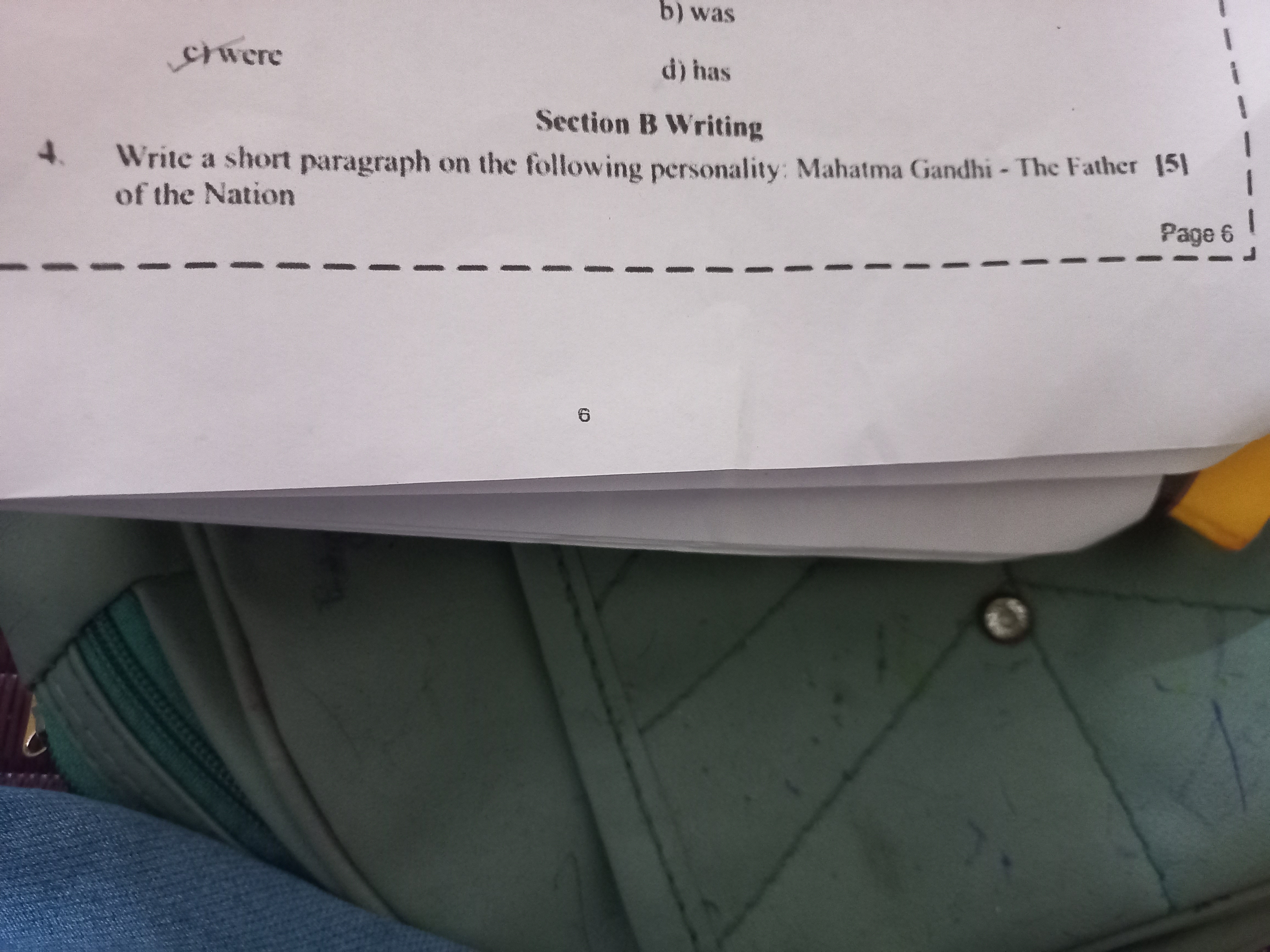 b) was
chwere
d) has

Section B Writing
4. Write a short paragraph on 