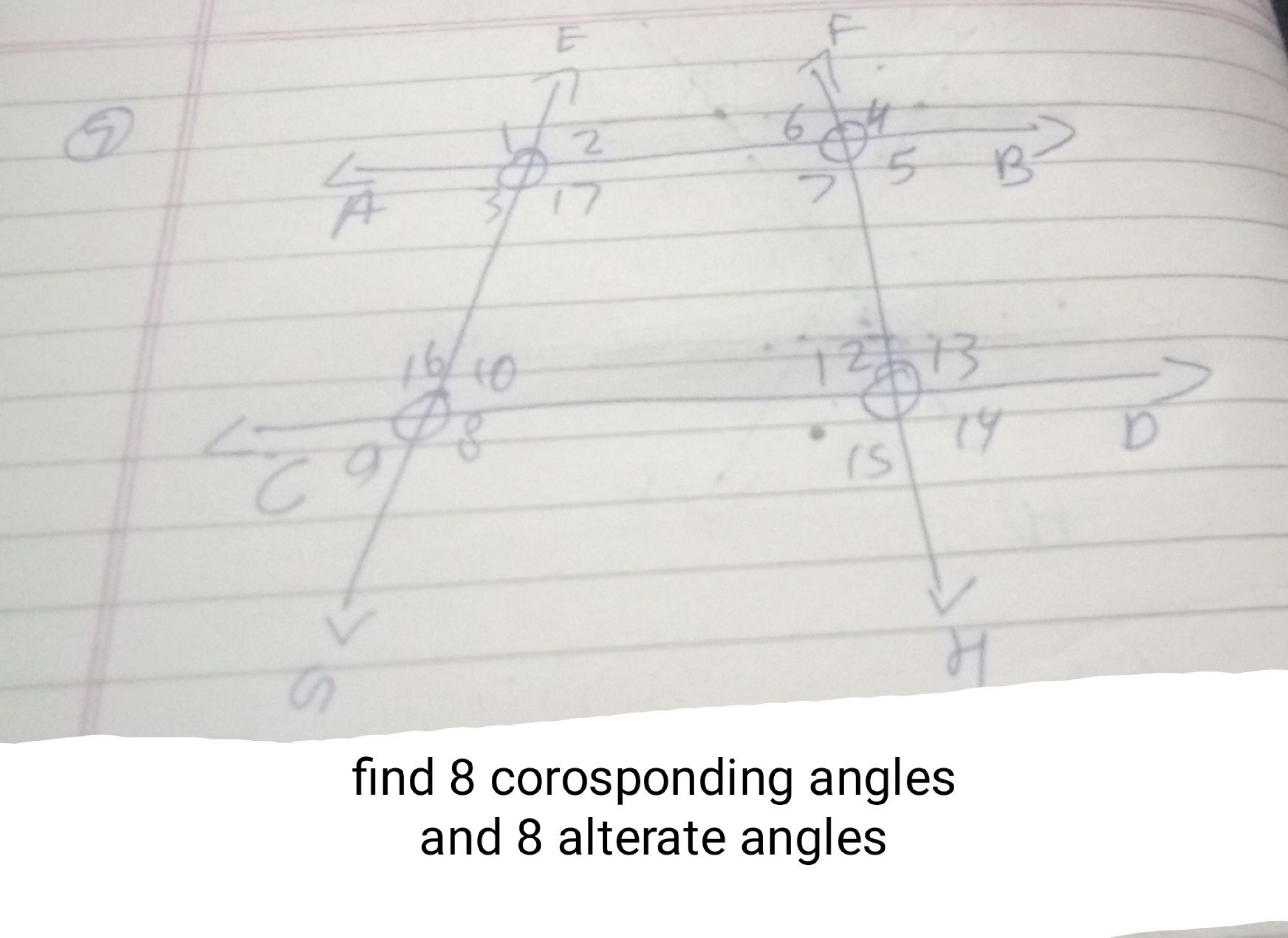 find 8 corosponding angles and 8 alterate angles